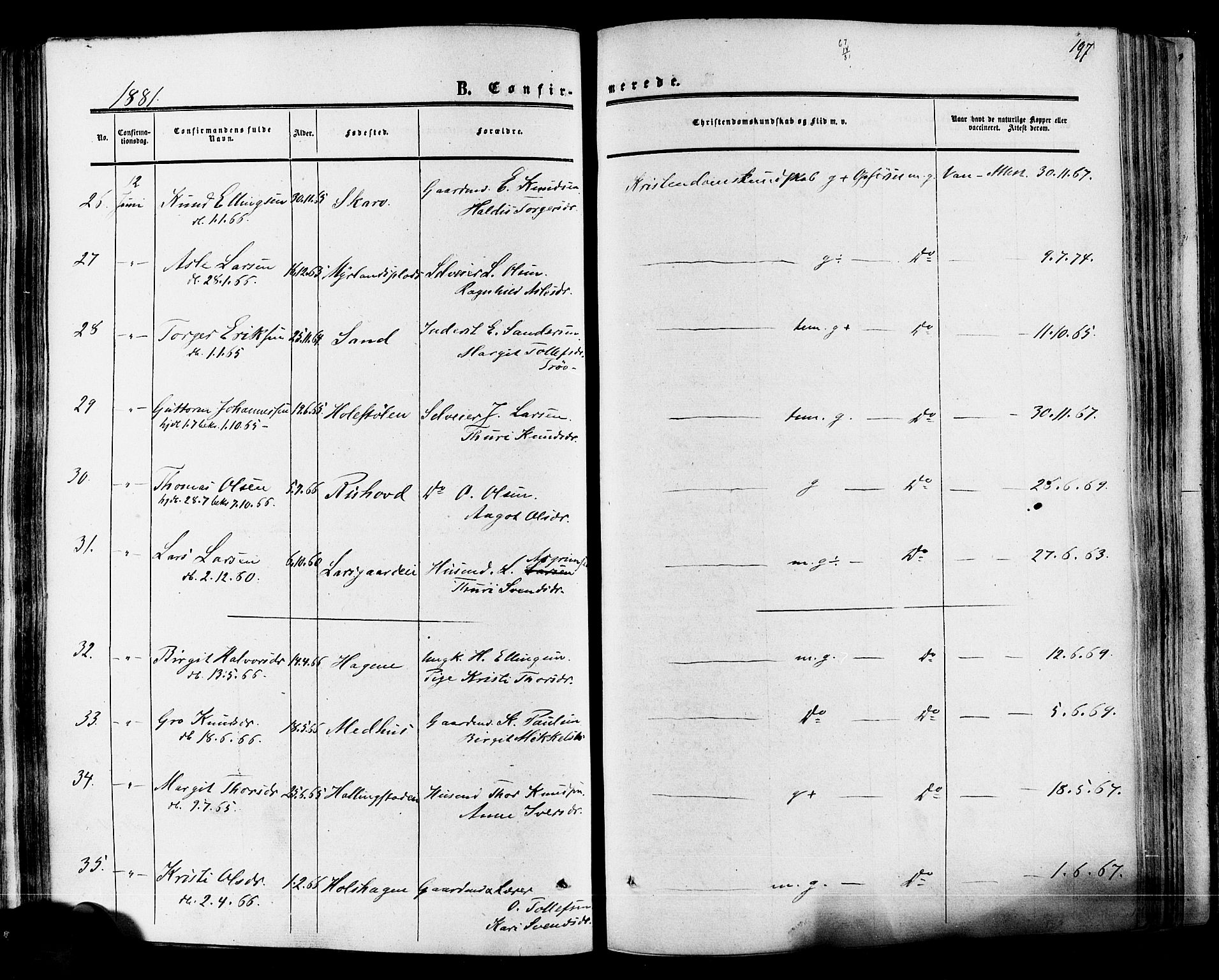 Hol kirkebøker, AV/SAKO-A-227/F/Fa/L0002: Parish register (official) no. I 2, 1870-1886, p. 197