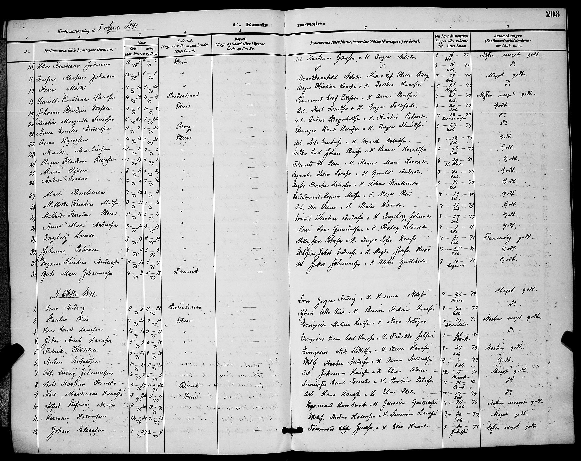 Skien kirkebøker, AV/SAKO-A-302/G/Ga/L0007: Parish register (copy) no. 7, 1891-1900, p. 203