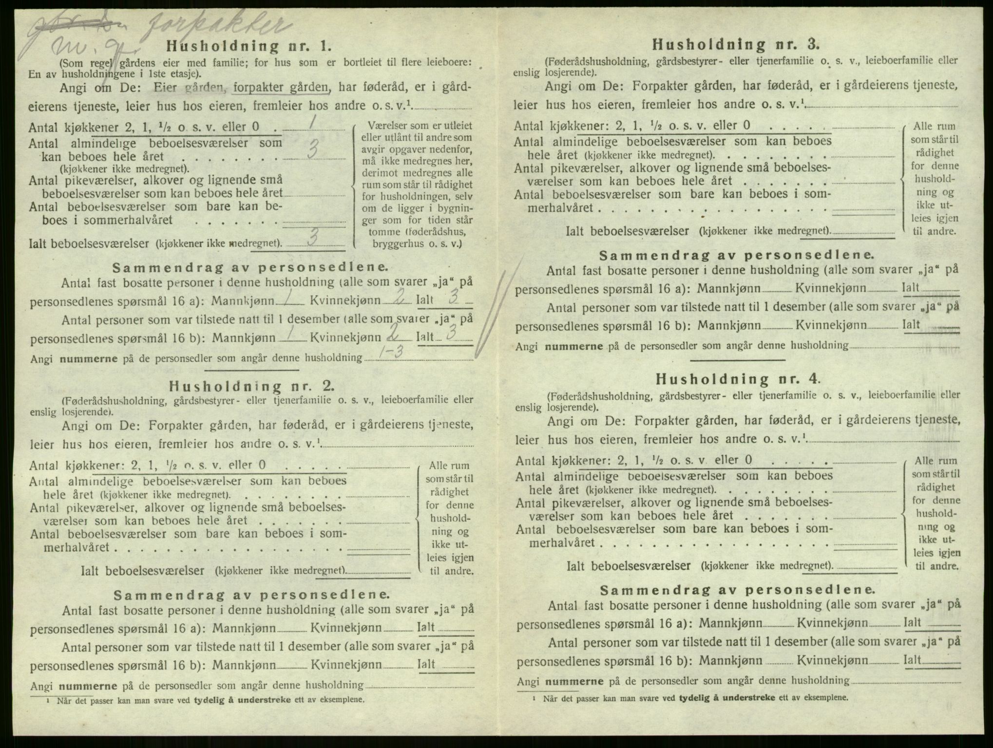 SAKO, 1920 census for Hof, 1920, p. 35