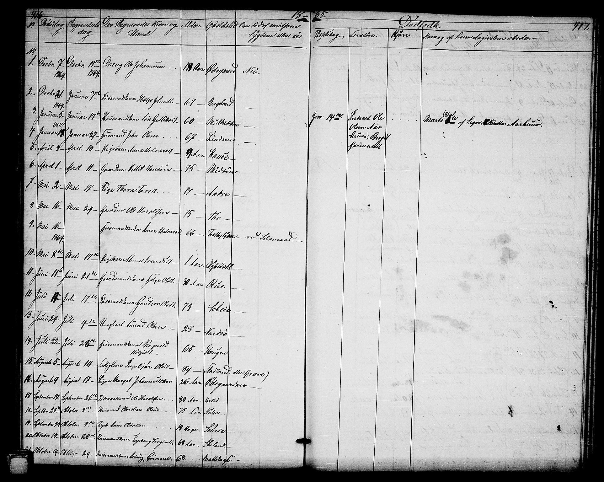 Hjartdal kirkebøker, SAKO/A-270/G/Ga/L0002: Parish register (copy) no. I 2, 1854-1888, p. 416-417