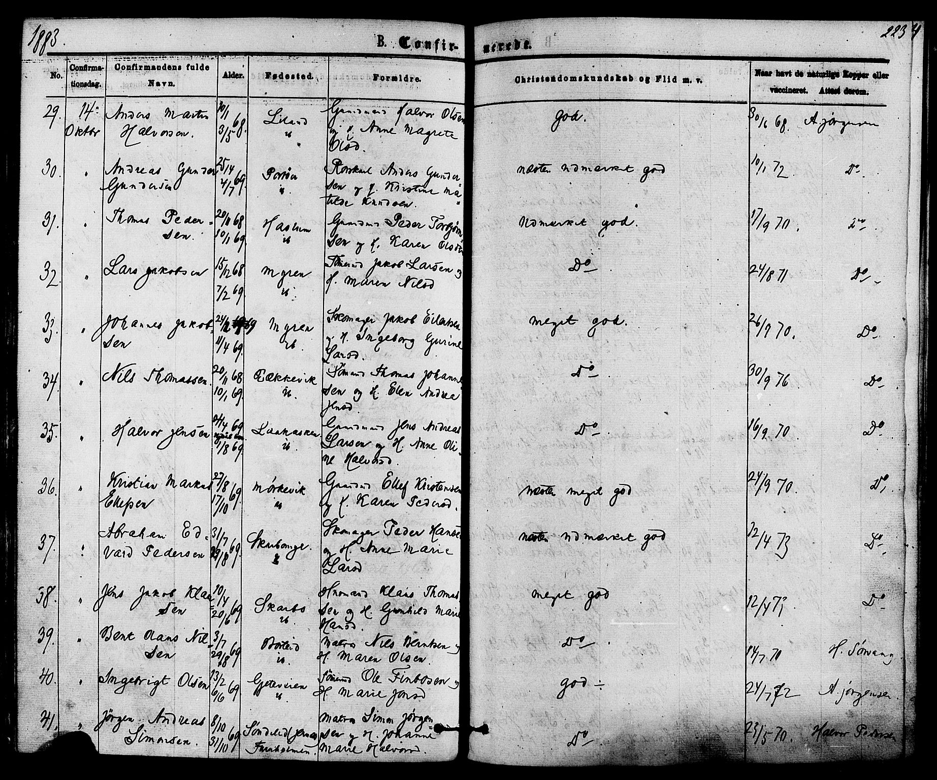 Skåtøy kirkebøker, AV/SAKO-A-304/F/Fa/L0001: Parish register (official) no. I 1, 1874-1883, p. 223