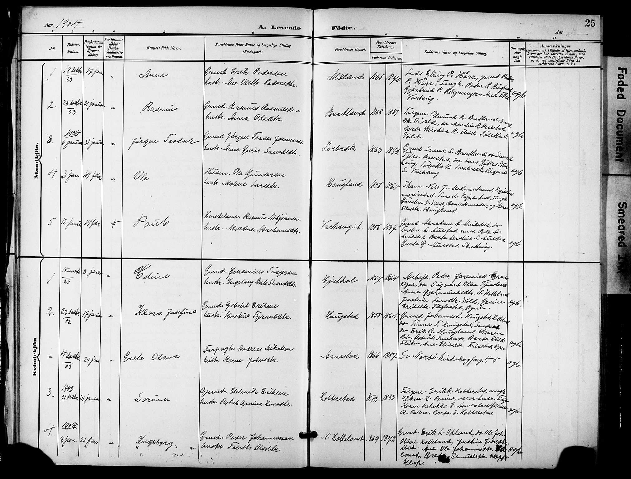 Hå sokneprestkontor, AV/SAST-A-101801/001/30BB/L0006: Parish register (copy) no. B 6, 1900-1924, p. 25