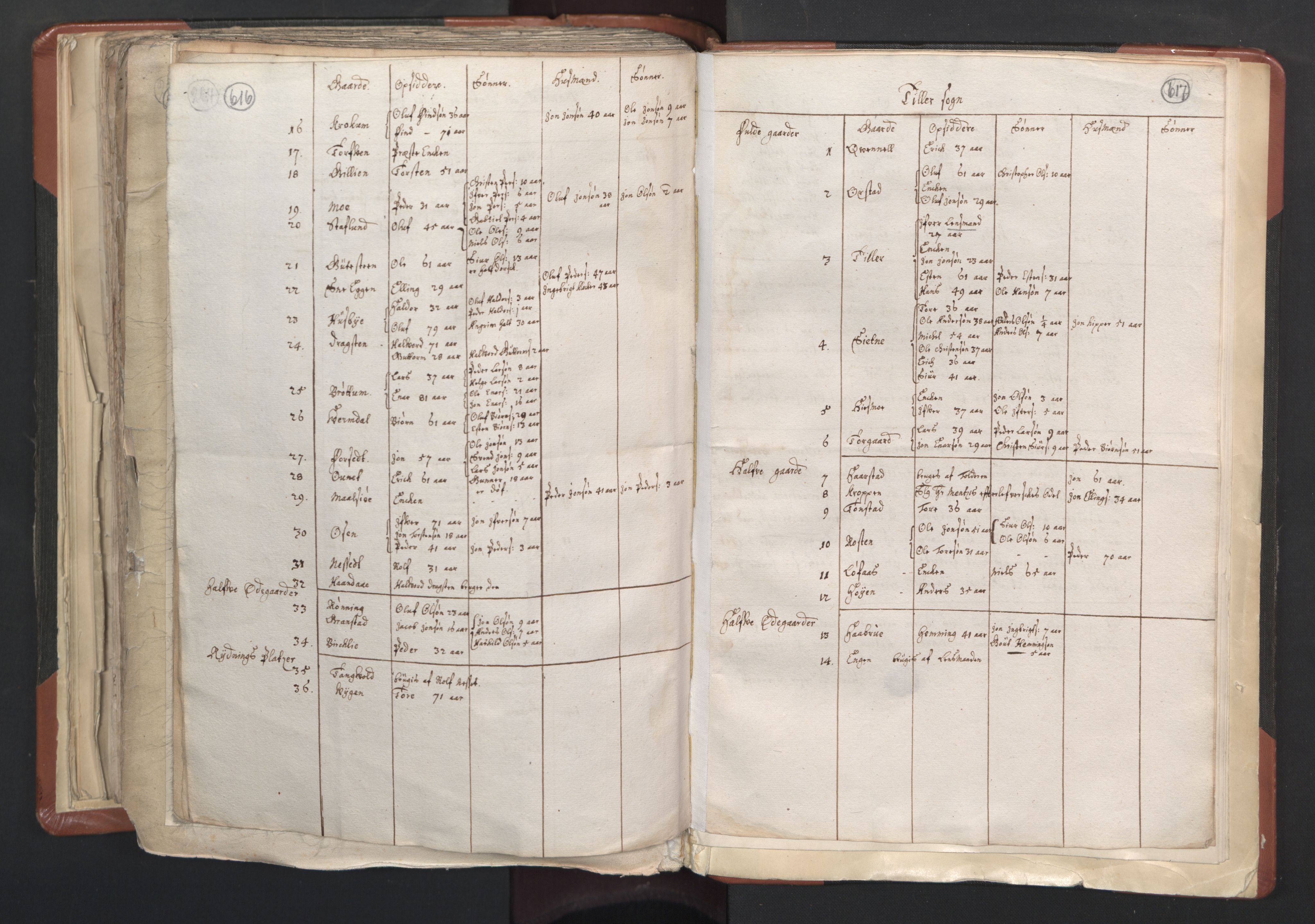 RA, Vicar's Census 1664-1666, no. 31: Dalane deanery, 1664-1666, p. 616-617