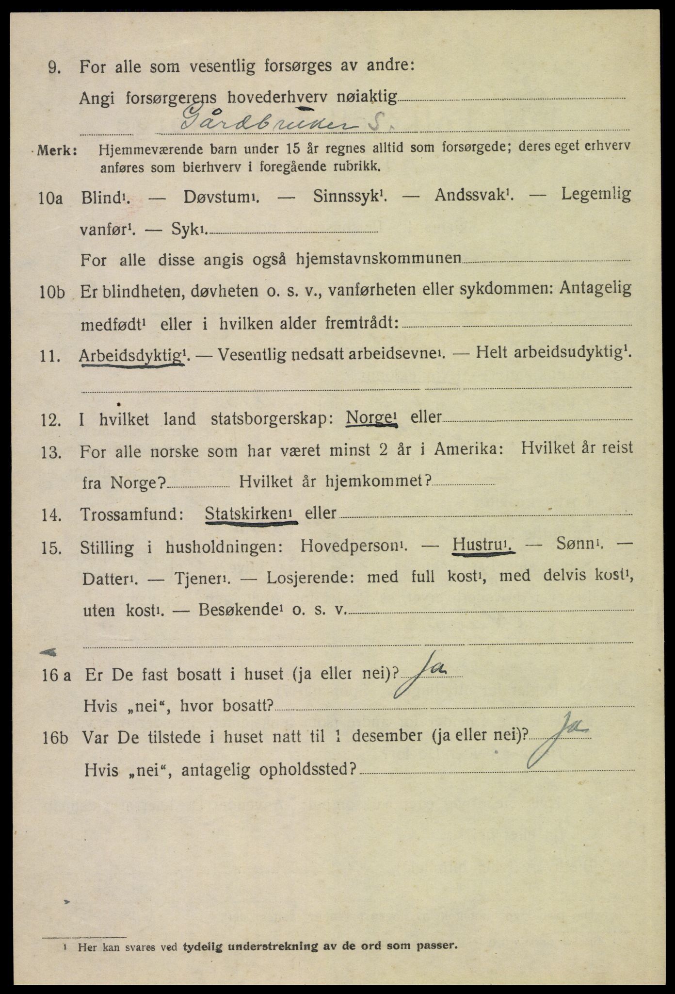 SAH, 1920 census for Sollia, 1920, p. 206