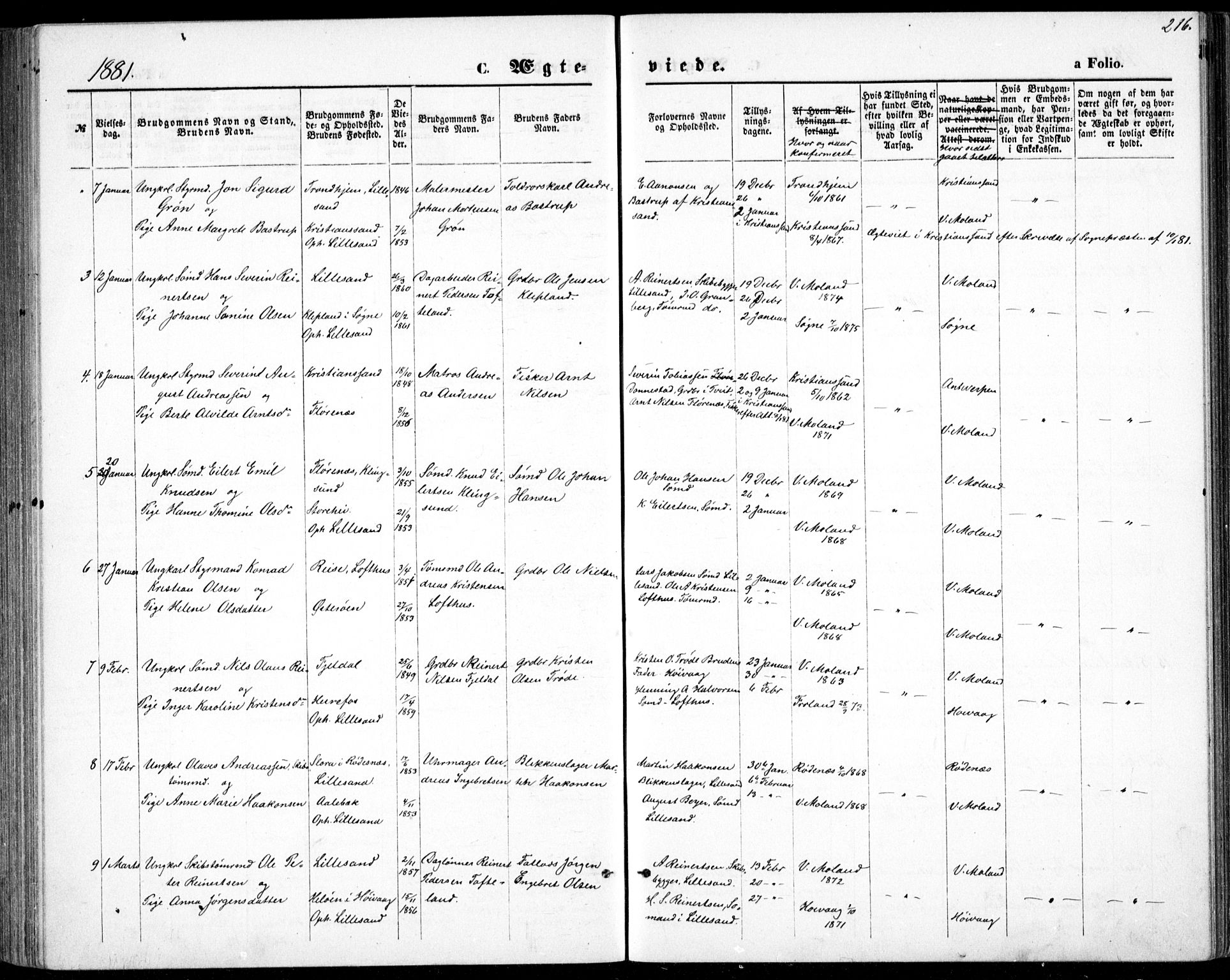 Vestre Moland sokneprestkontor, AV/SAK-1111-0046/F/Fb/Fbb/L0005: Parish register (copy) no. B 5, 1872-1883, p. 216