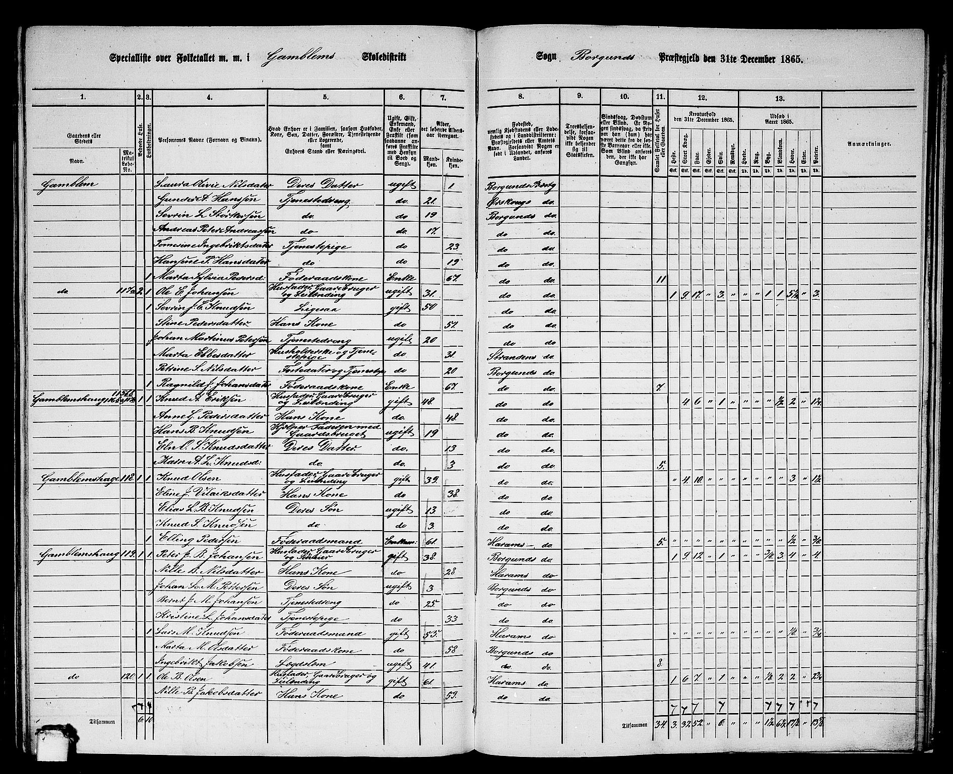 RA, 1865 census for Borgund, 1865, p. 235