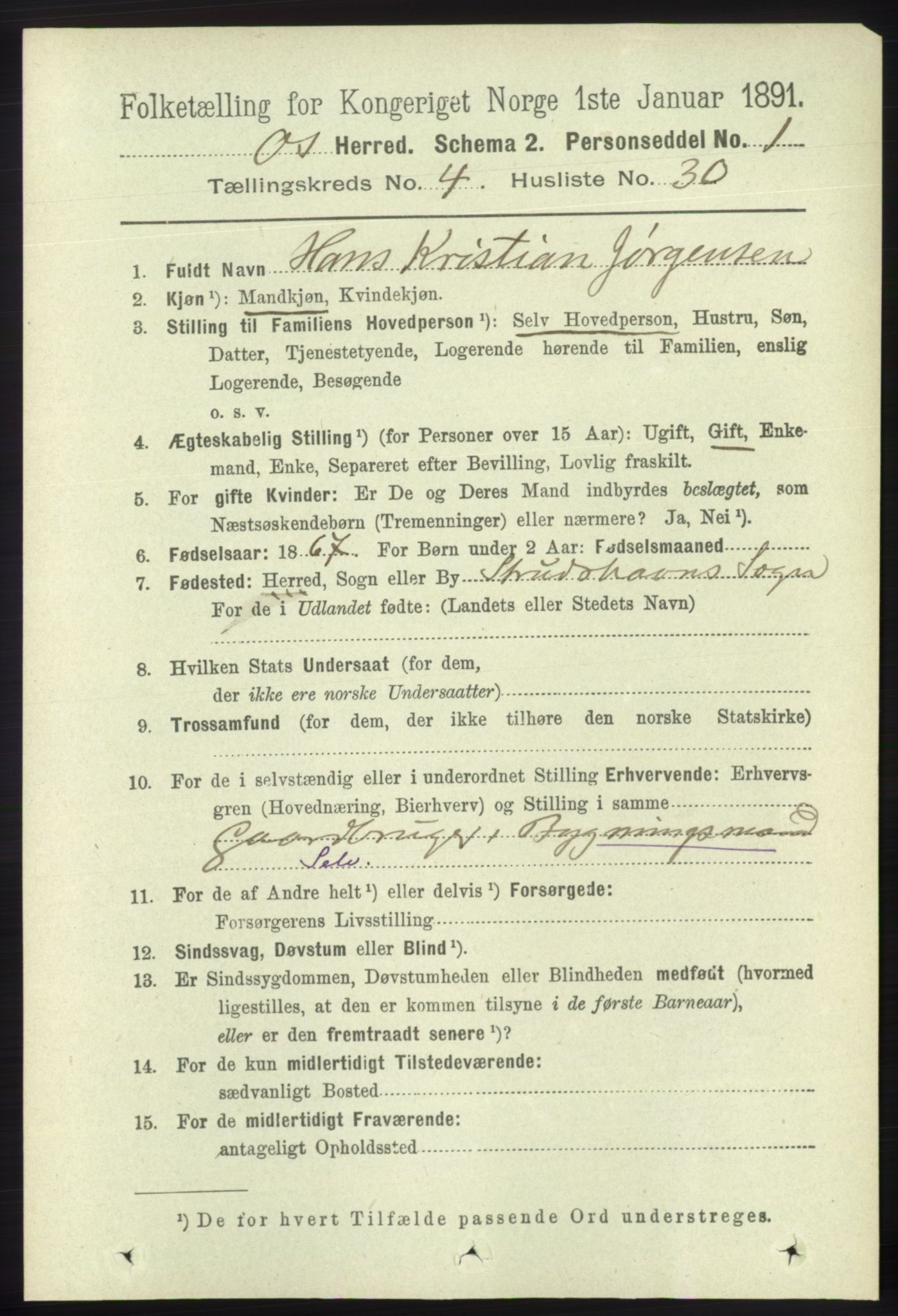 RA, 1891 census for 1243 Os, 1891, p. 1082