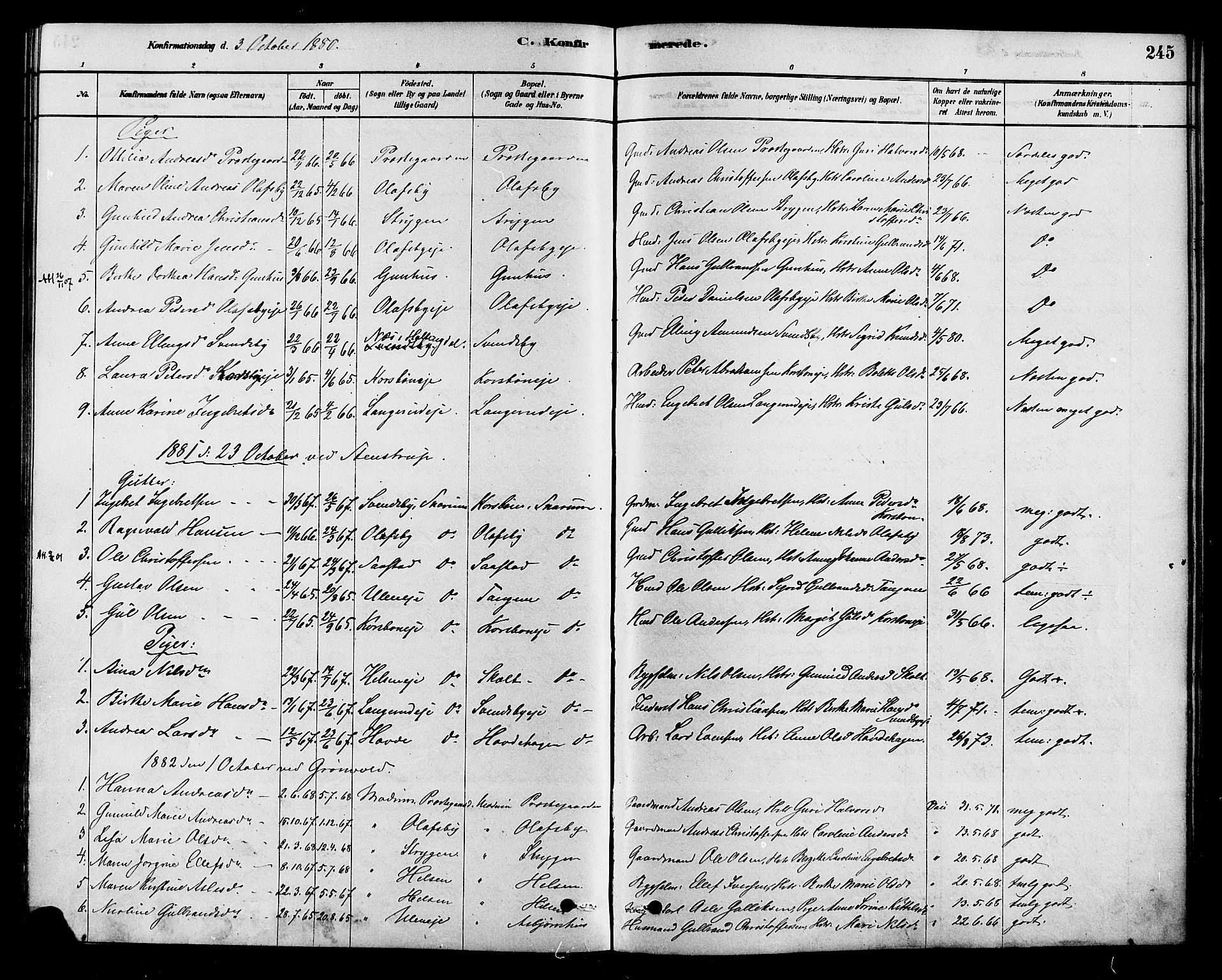 Modum kirkebøker, AV/SAKO-A-234/F/Fa/L0015: Parish register (official) no. 15 /2, 1877-1889, p. 245