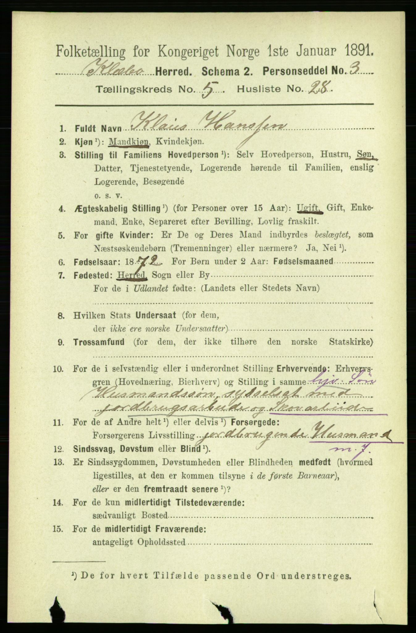 RA, 1891 census for 1662 Klæbu, 1891, p. 1203