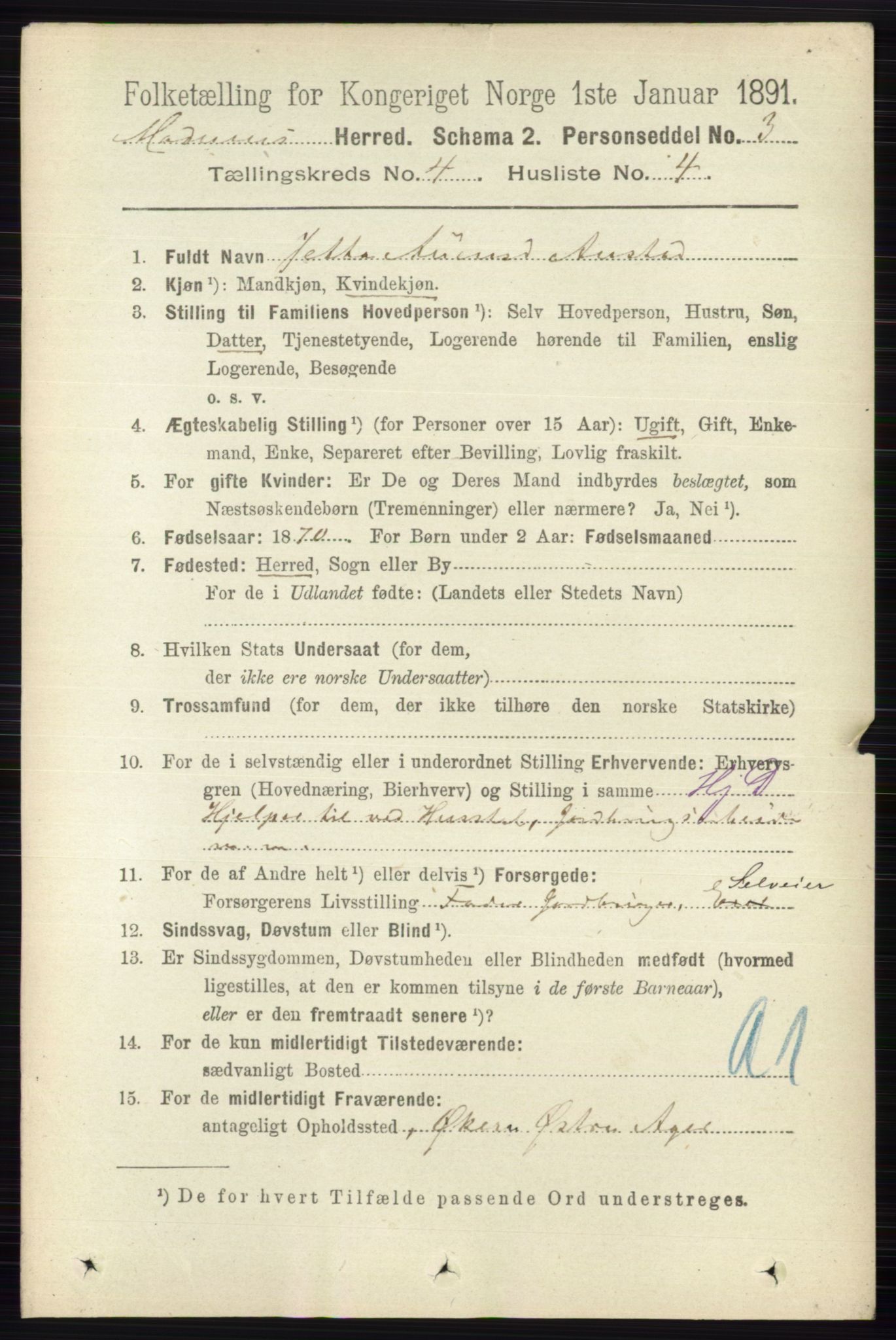 RA, 1891 census for 0623 Modum, 1891, p. 1008