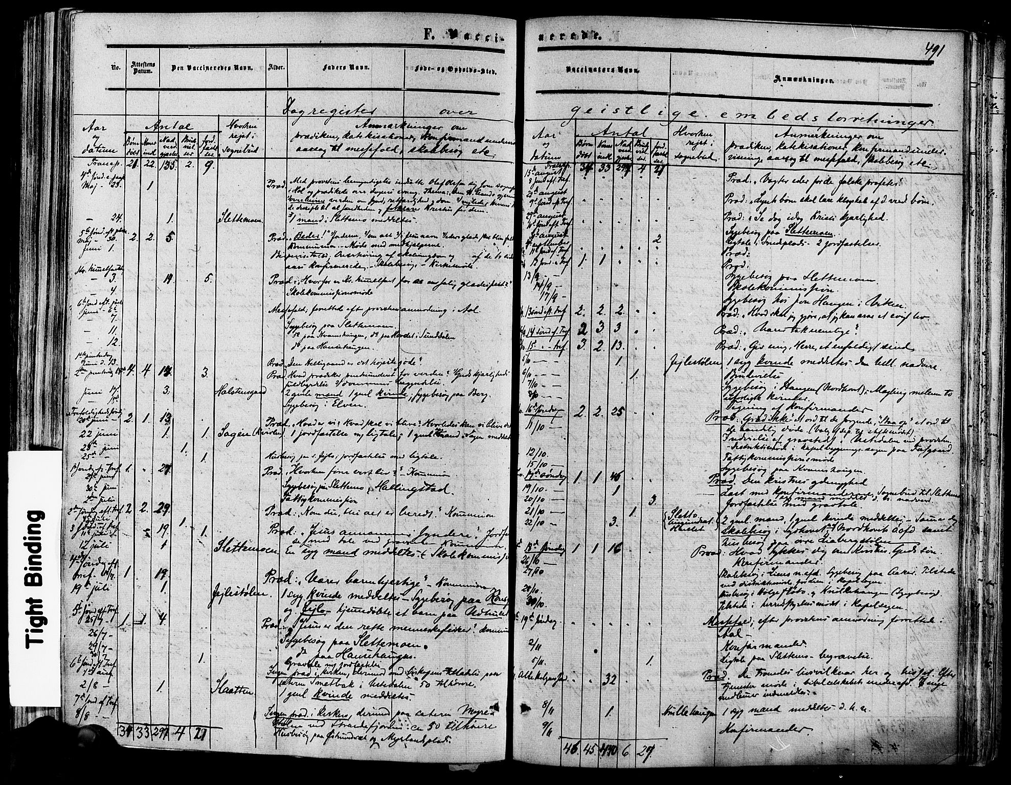 Hol kirkebøker, SAKO/A-227/F/Fa/L0002: Parish register (official) no. I 2, 1870-1886, p. 491