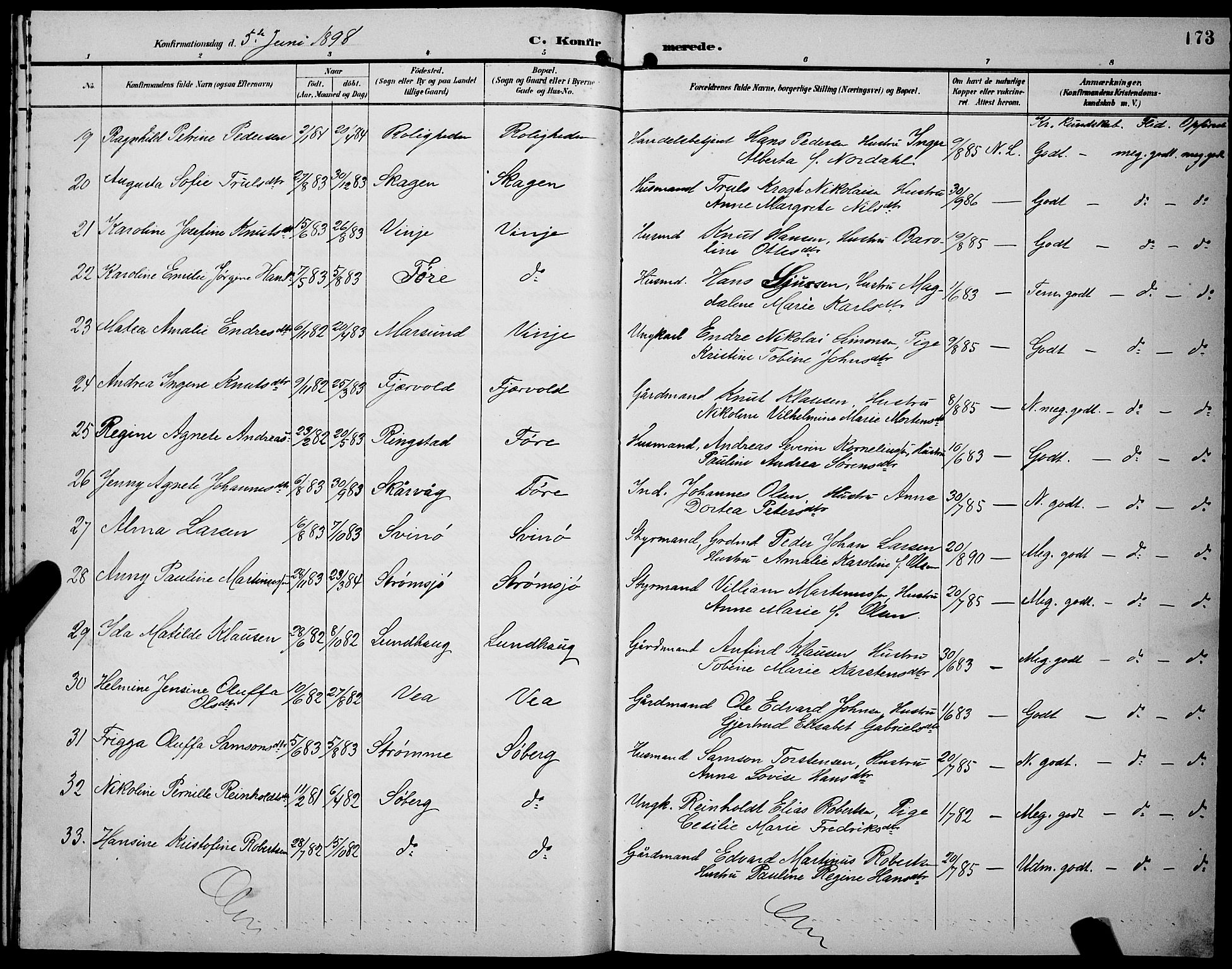 Ministerialprotokoller, klokkerbøker og fødselsregistre - Nordland, AV/SAT-A-1459/891/L1316: Parish register (copy) no. 891C05, 1894-1898, p. 173