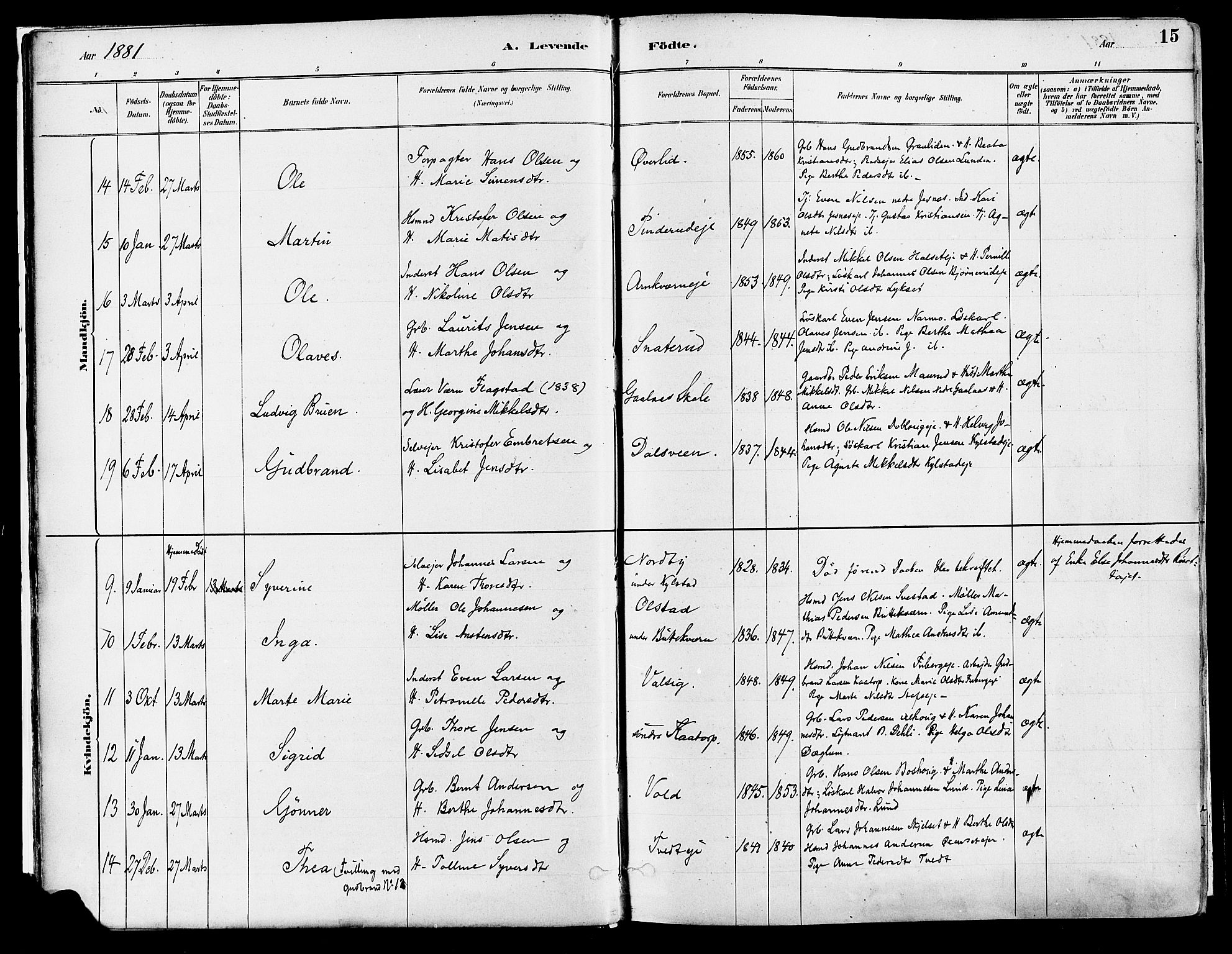 Vang prestekontor, Hedmark, SAH/PREST-008/H/Ha/Haa/L0018A: Parish register (official) no. 18A, 1880-1906, p. 15