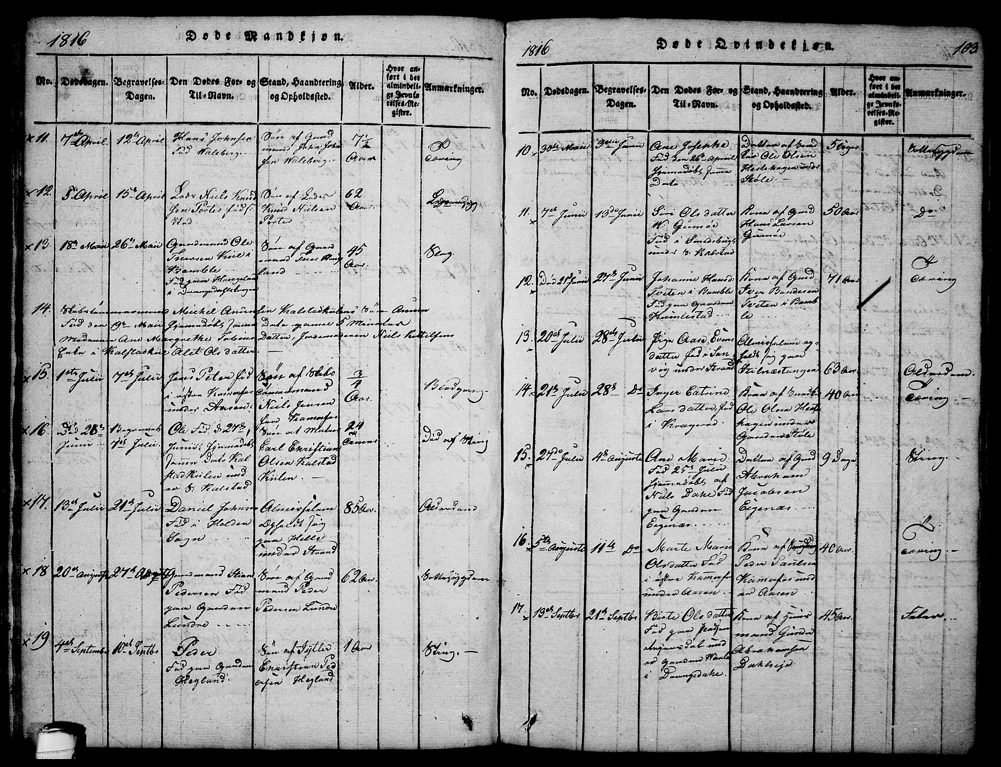 Sannidal kirkebøker, AV/SAKO-A-296/F/Fa/L0004: Parish register (official) no. 4, 1814-1829, p. 103