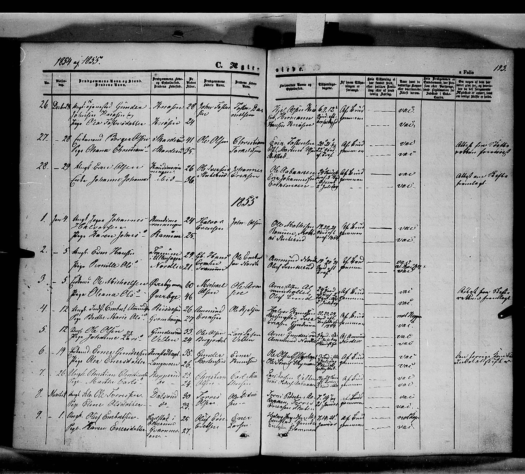 Våler prestekontor, Hedmark, SAH/PREST-040/H/Ha/Haa/L0001: Parish register (official) no. 1, 1849-1878, p. 193