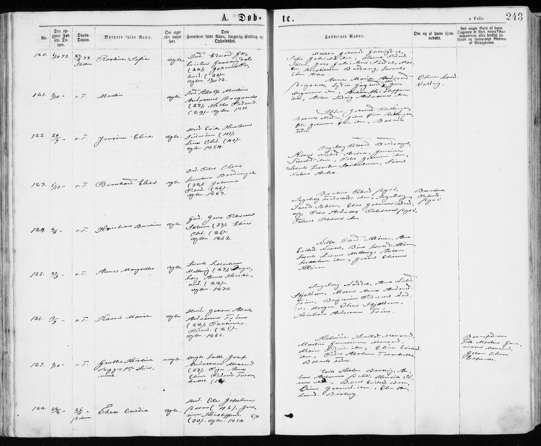 Ministerialprotokoller, klokkerbøker og fødselsregistre - Sør-Trøndelag, AV/SAT-A-1456/640/L0576: Parish register (official) no. 640A01, 1846-1876, p. 243