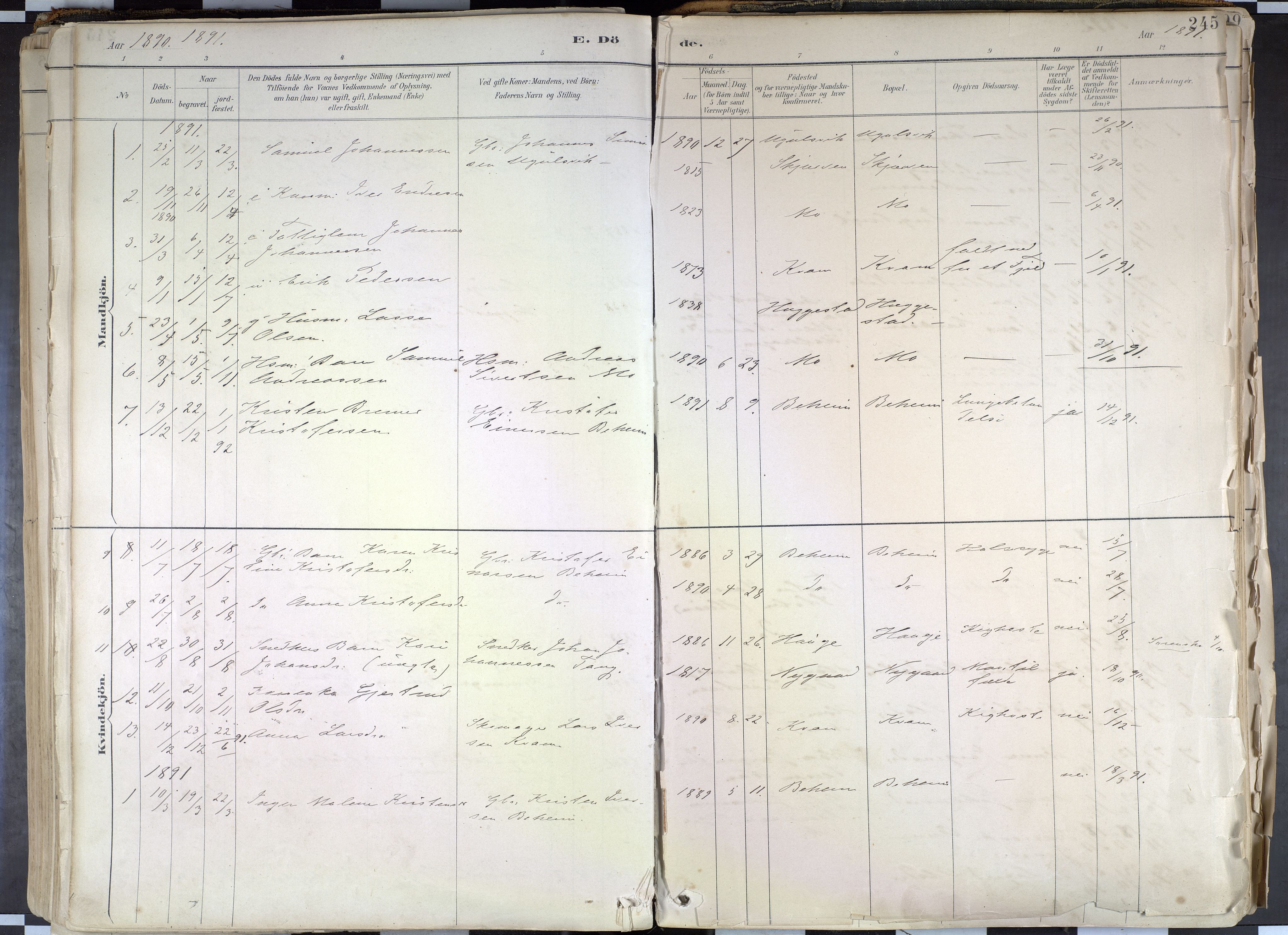 Hafslo sokneprestembete, SAB/A-80301/H/Haa/Haab/L0001: Parish register (official) no. B 1, 1886-1945, p. 245