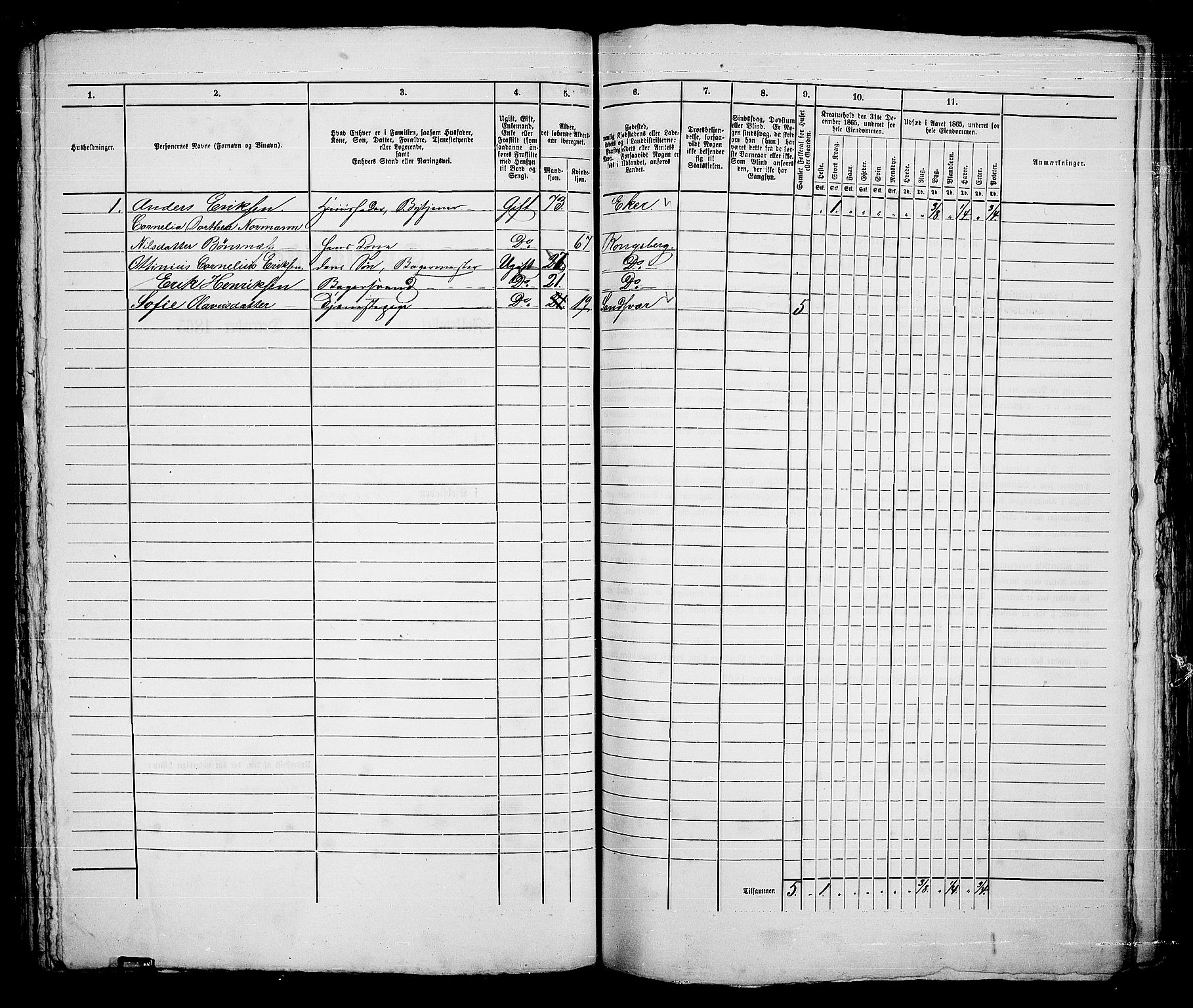 RA, 1865 census for Kongsberg/Kongsberg, 1865, p. 291