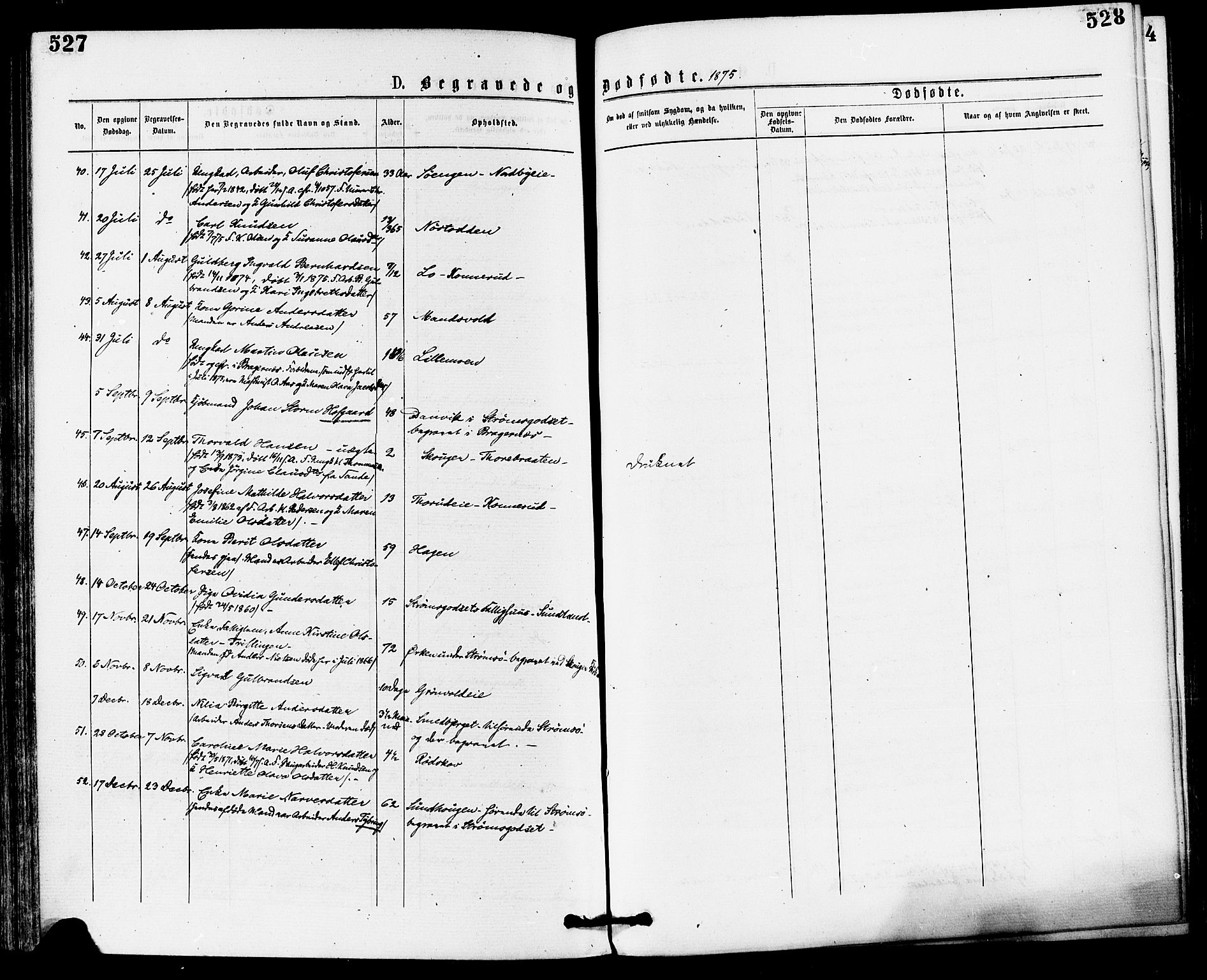 Skoger kirkebøker, AV/SAKO-A-59/F/Fa/L0005: Parish register (official) no. I 5, 1873-1884, p. 527-528