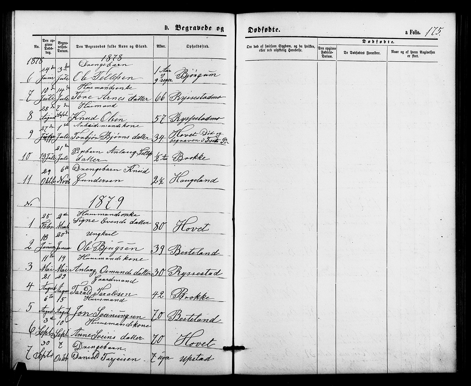 Valle sokneprestkontor, SAK/1111-0044/F/Fb/Fbb/L0002: Parish register (copy) no. B 2, 1875-1921, p. 175