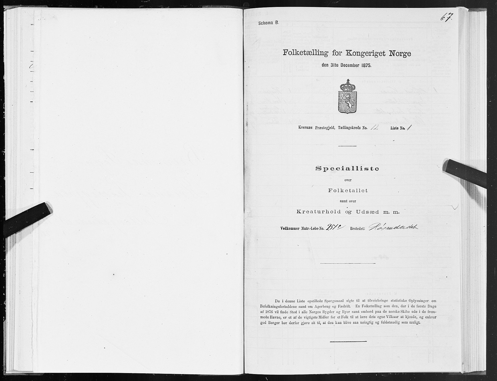 SAT, 1875 census for 1553P Kvernes, 1875, p. 6067