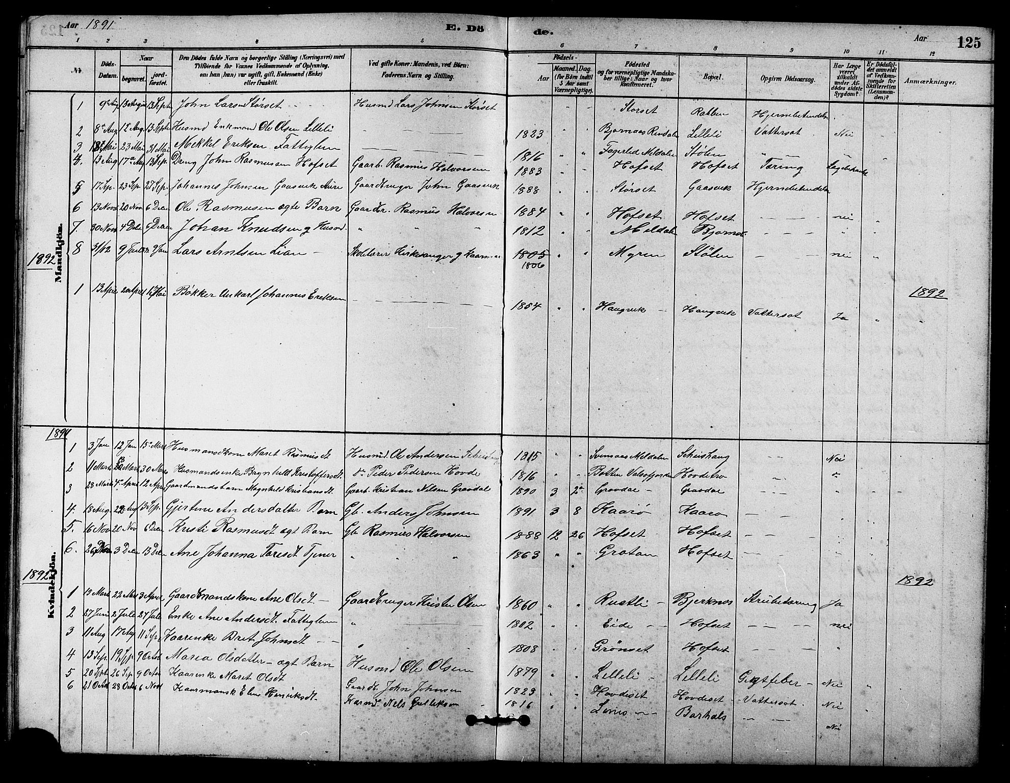 Ministerialprotokoller, klokkerbøker og fødselsregistre - Sør-Trøndelag, SAT/A-1456/631/L0514: Parish register (copy) no. 631C02, 1879-1912, p. 125