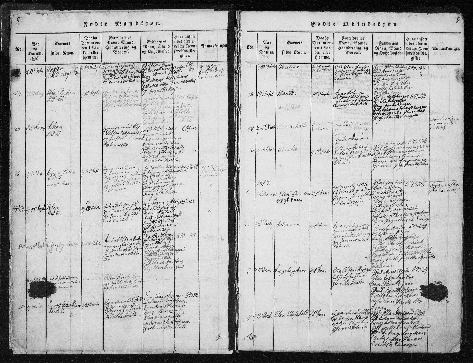 Ministerialprotokoller, klokkerbøker og fødselsregistre - Nord-Trøndelag, SAT/A-1458/717/L0148: Parish register (official) no. 717A04 /1, 1816-1825, p. 8-9