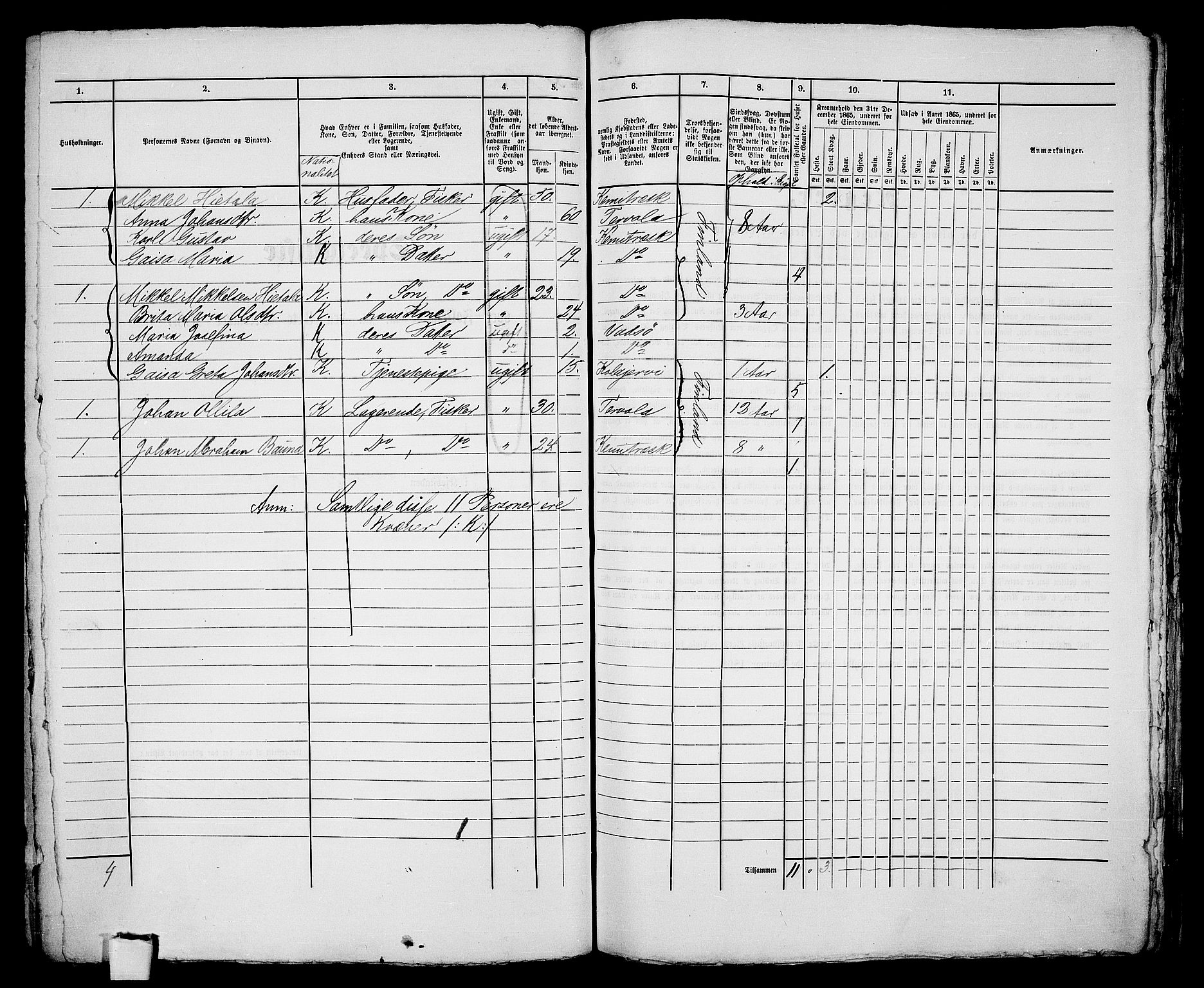 RA, 1865 census for Vadsø/Vadsø, 1865, p. 217