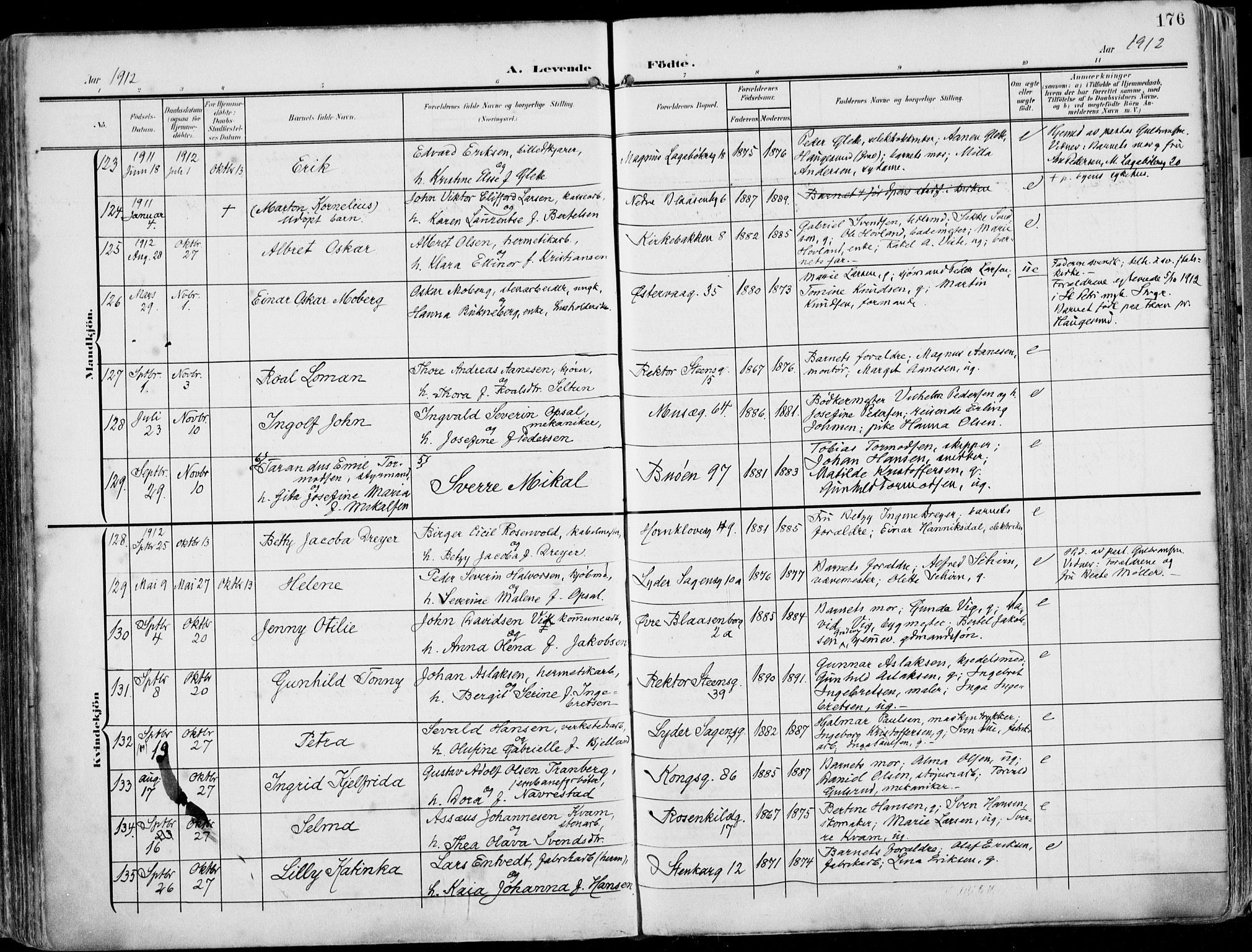 St. Petri sokneprestkontor, AV/SAST-A-101813/002/A/L0005: Parish register (official) no. A 23, 1902-1918, p. 176