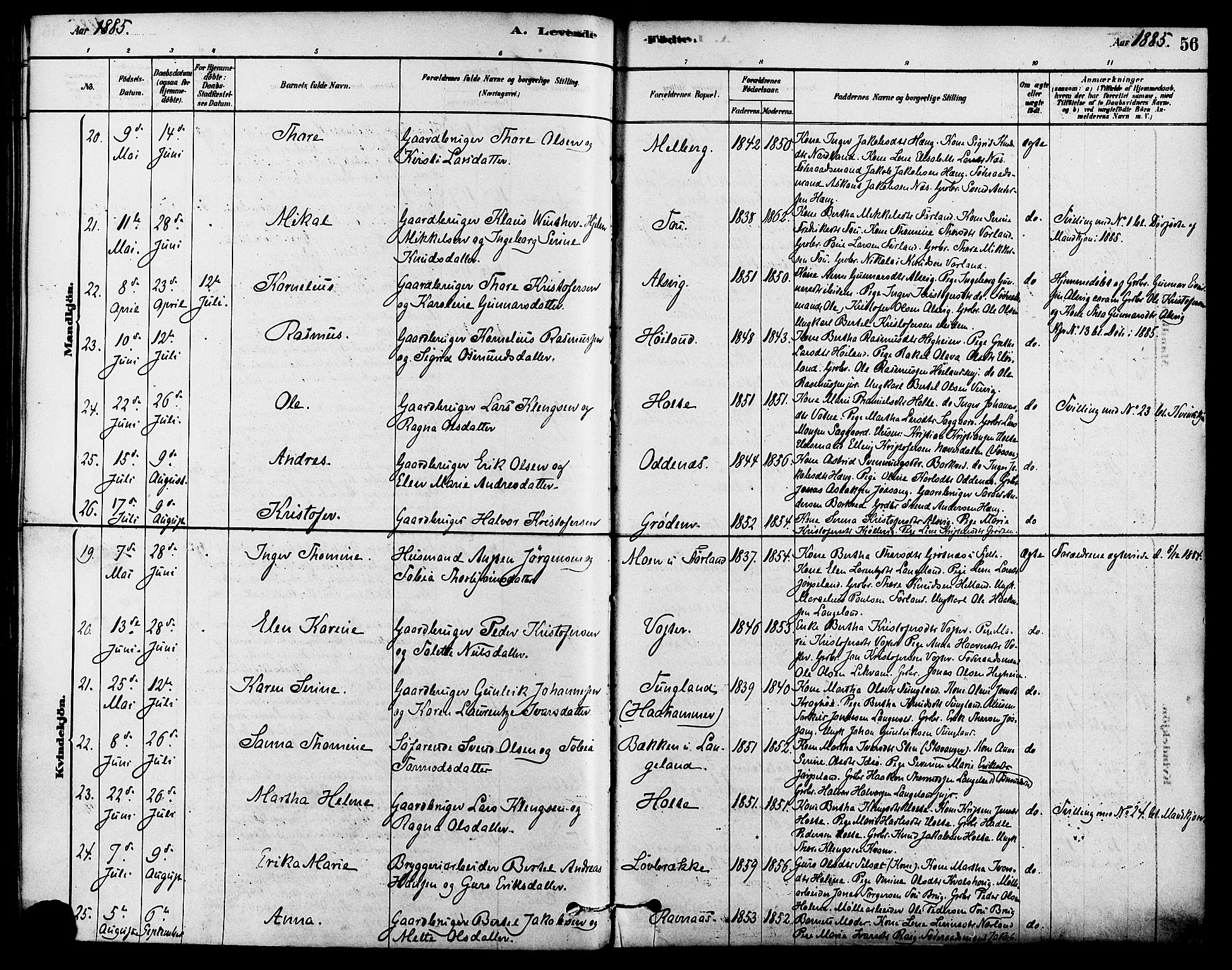 Strand sokneprestkontor, AV/SAST-A-101828/H/Ha/Haa/L0009: Parish register (official) no. A 9, 1877-1908, p. 56