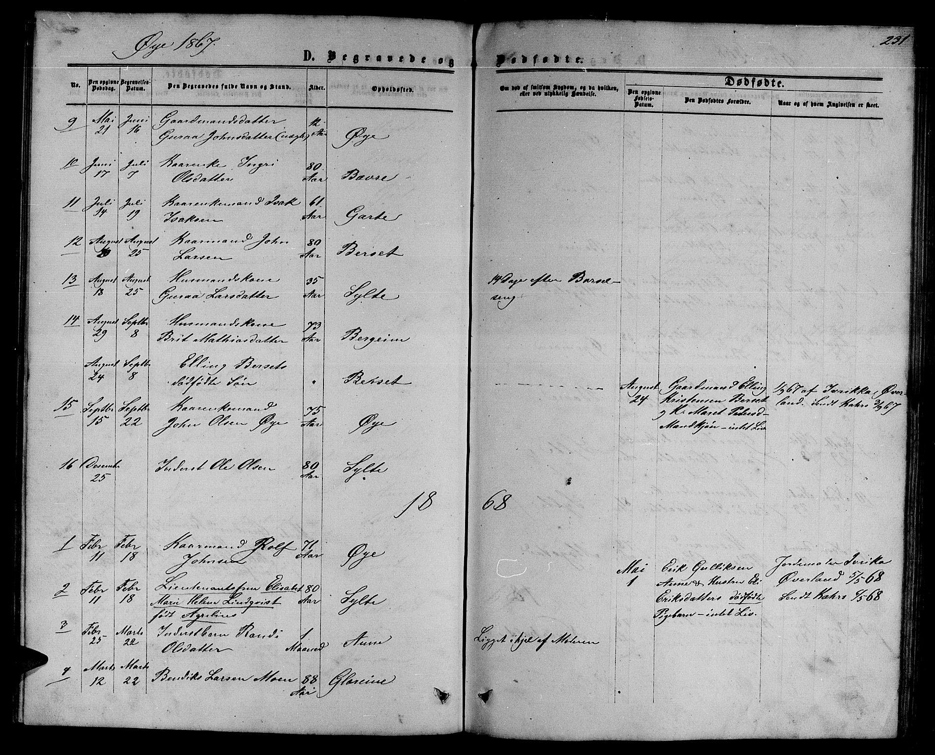 Ministerialprotokoller, klokkerbøker og fødselsregistre - Møre og Romsdal, SAT/A-1454/595/L1051: Parish register (copy) no. 595C03, 1866-1891, p. 231