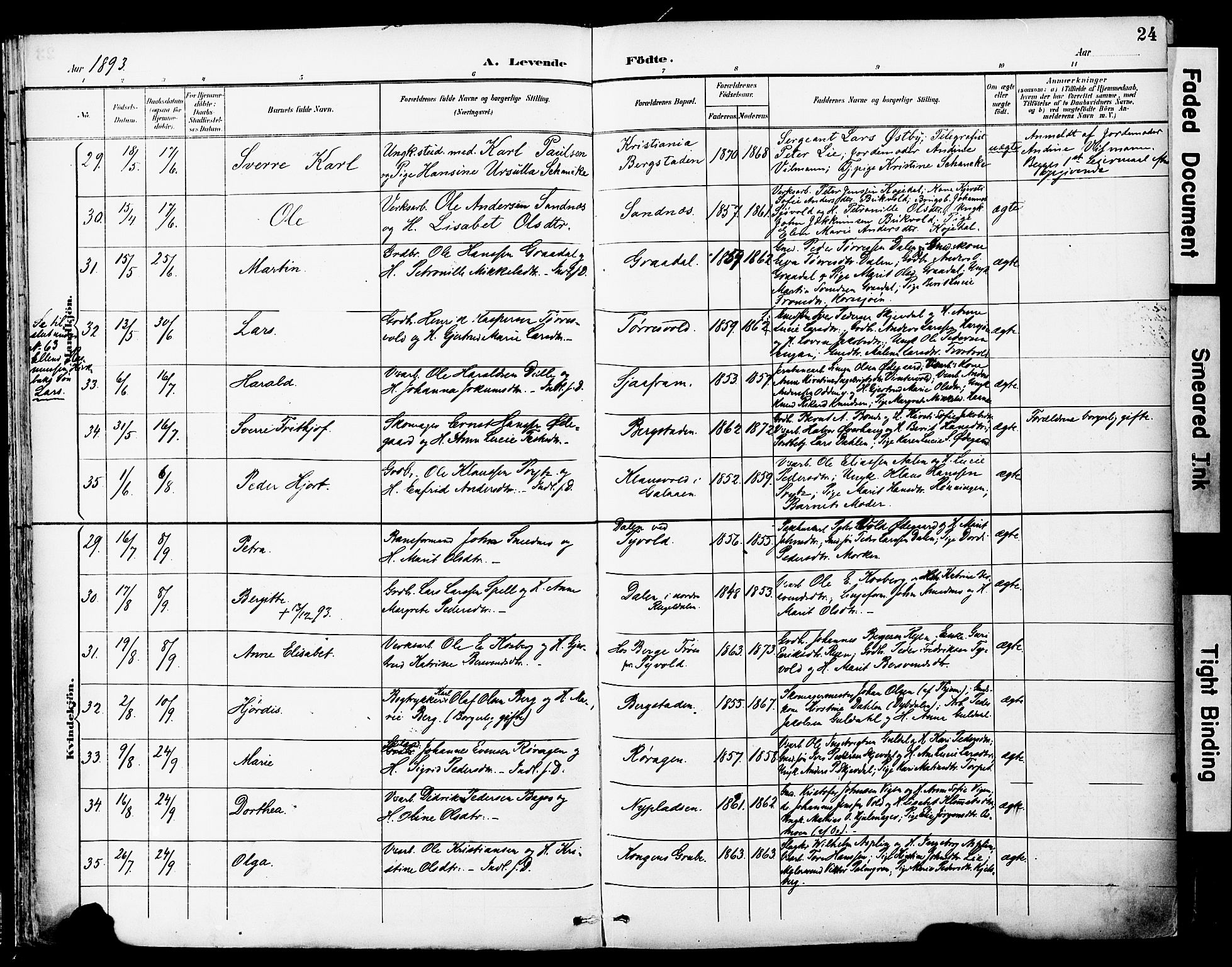 Ministerialprotokoller, klokkerbøker og fødselsregistre - Sør-Trøndelag, SAT/A-1456/681/L0935: Parish register (official) no. 681A13, 1890-1898, p. 24