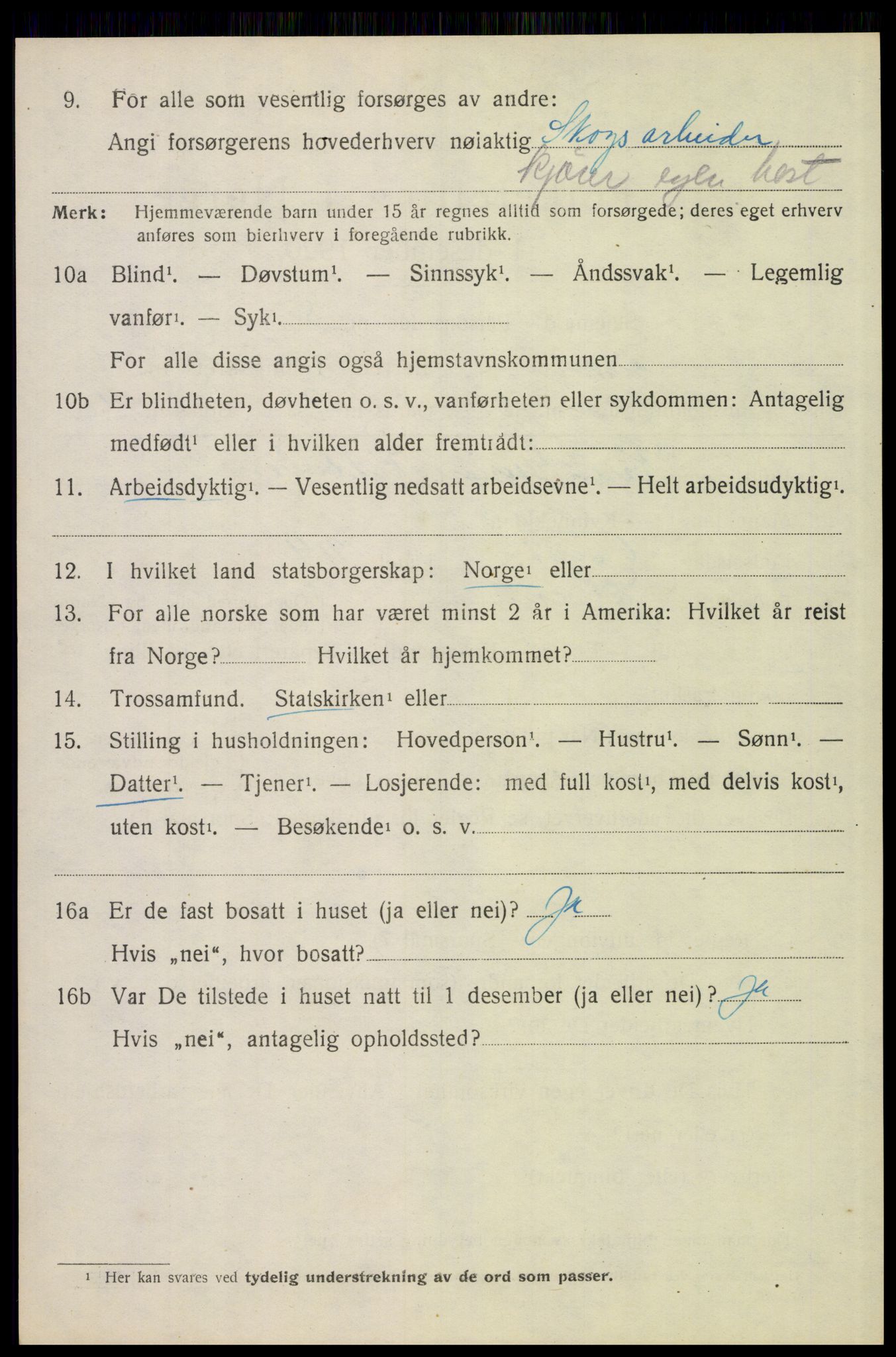 SAH, 1920 census for Elverum, 1920, p. 21197