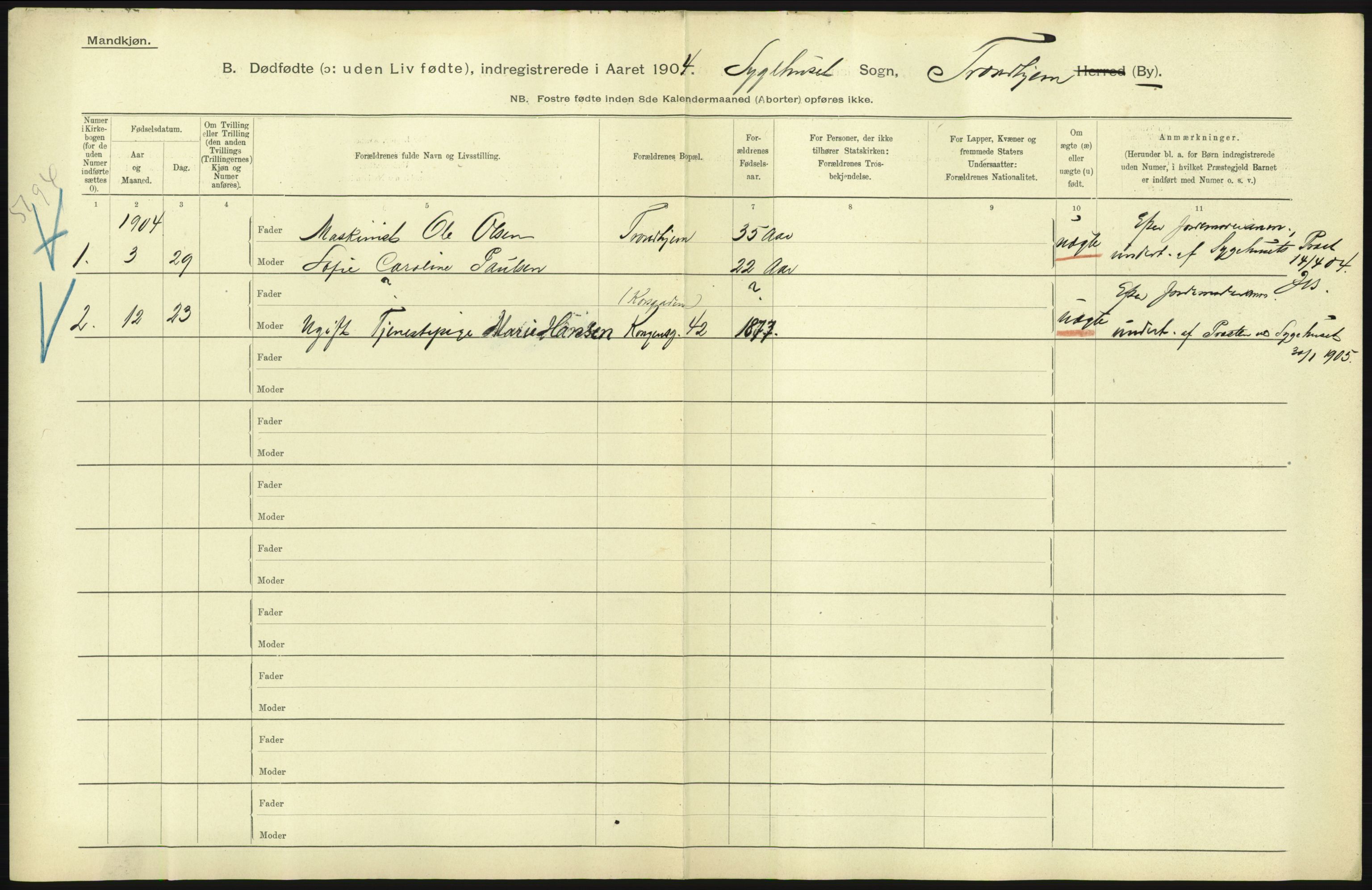 Statistisk sentralbyrå, Sosiodemografiske emner, Befolkning, RA/S-2228/D/Df/Dfa/Dfab/L0027: Smålenes amt - Finnmarkens amt: Dødfødte. Byer, 1904, p. 197