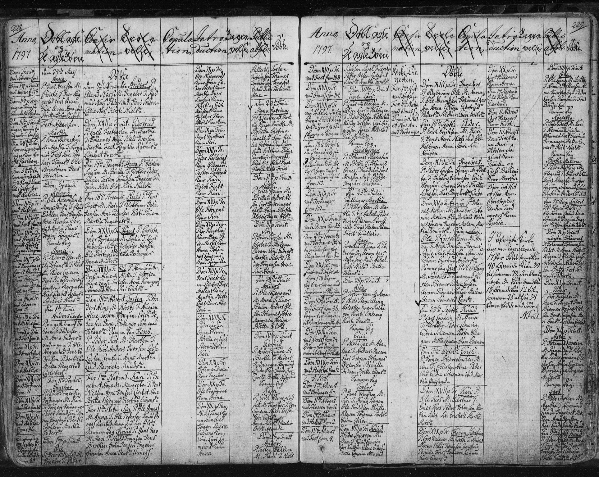 Hafslo sokneprestembete, SAB/A-80301/H/Haa/Haaa/L0002: Parish register (official) no. A 2, 1755-1806, p. 228-229