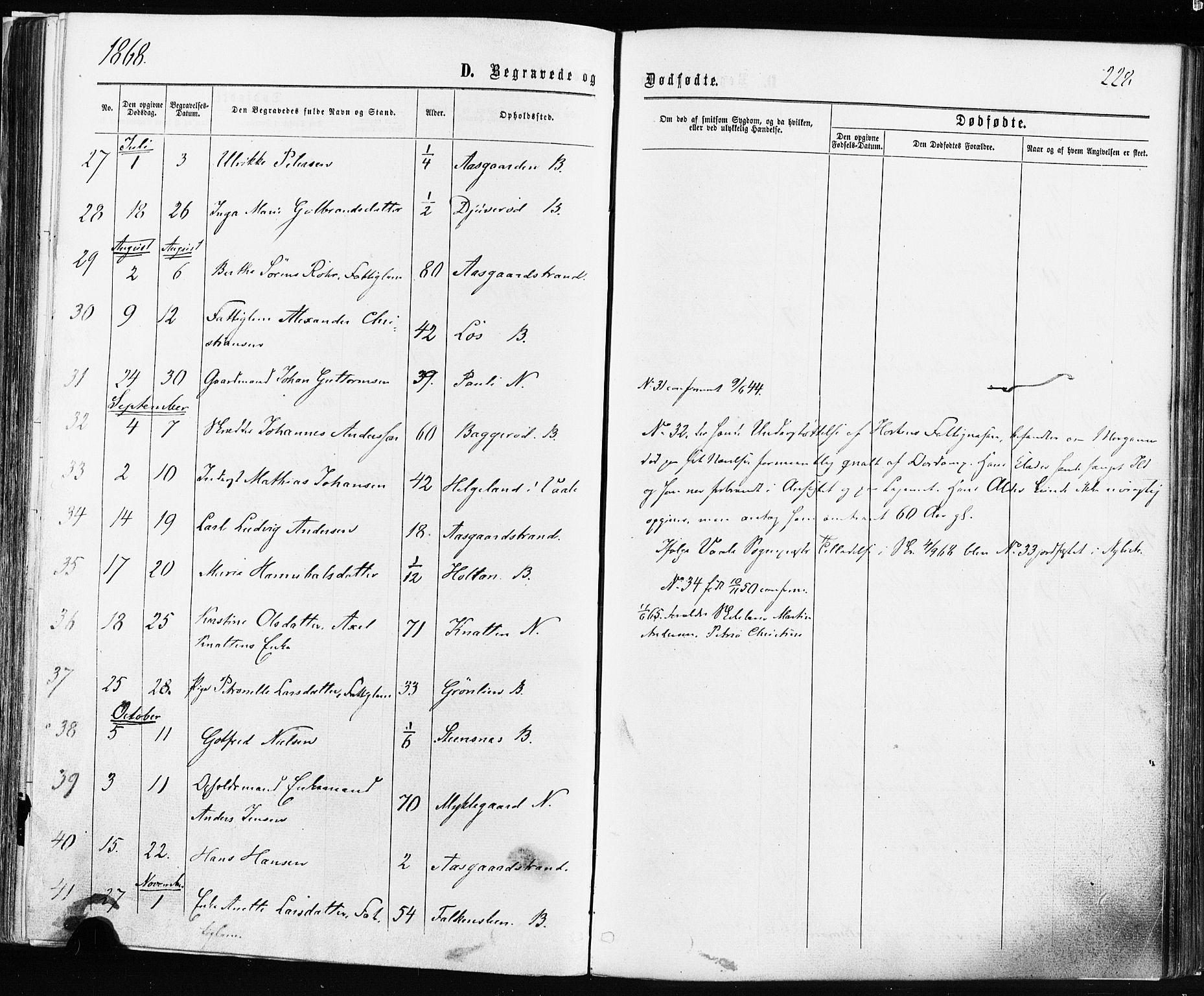 Borre kirkebøker, AV/SAKO-A-338/F/Fa/L0008: Parish register (official) no. I 8, 1868-1877, p. 228