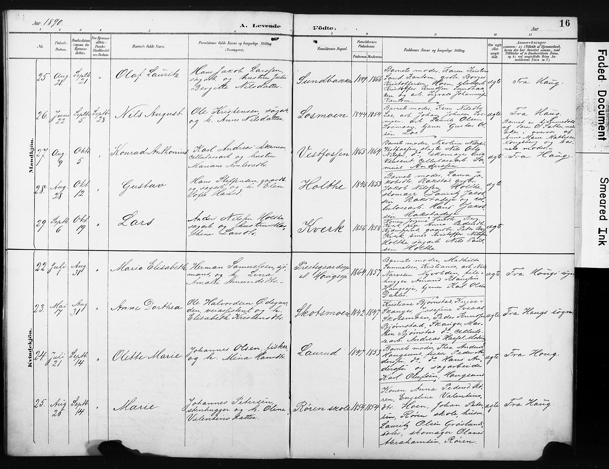 Eiker kirkebøker, SAKO/A-4/F/Fc/L0002: Parish register (official) no. III 2, 1889-1897, p. 16