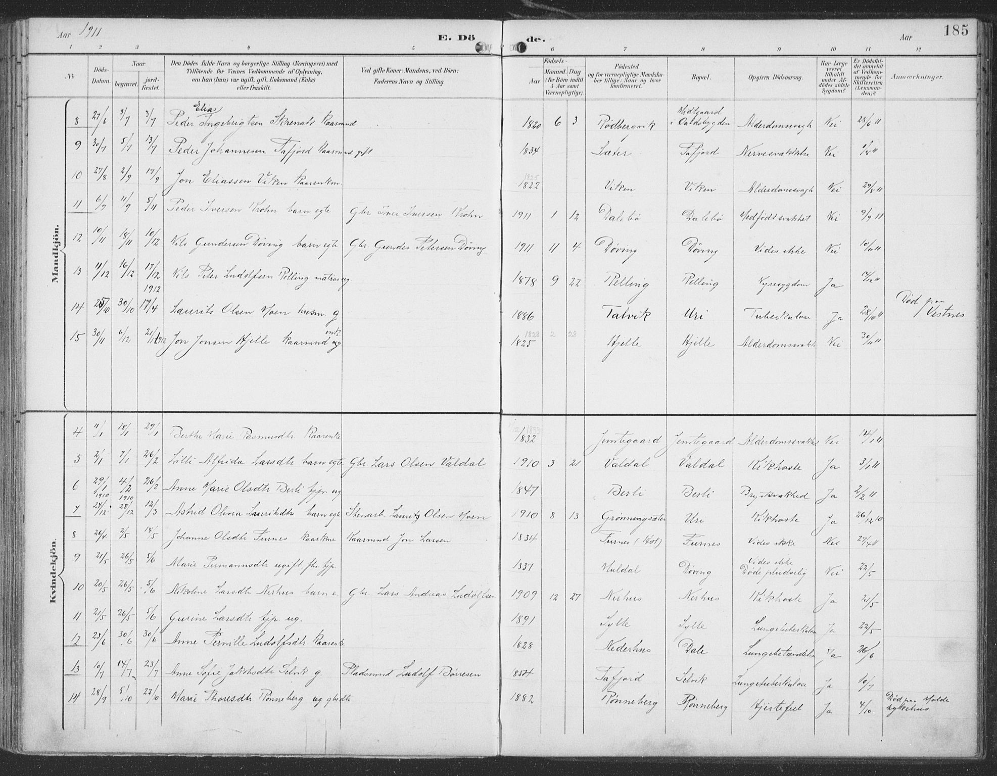 Ministerialprotokoller, klokkerbøker og fødselsregistre - Møre og Romsdal, AV/SAT-A-1454/519/L0256: Parish register (official) no. 519A15, 1895-1912, p. 185