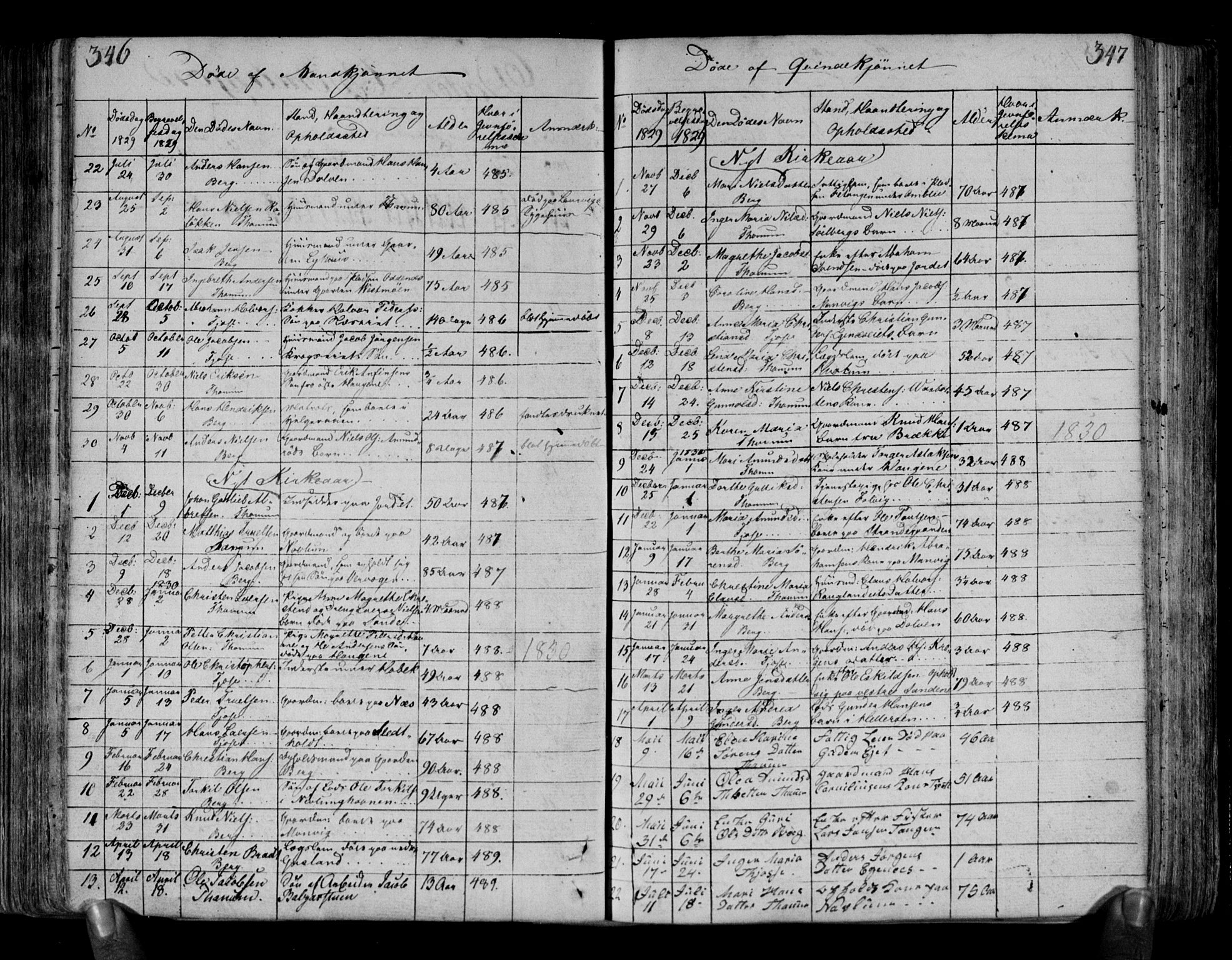 Brunlanes kirkebøker, SAKO/A-342/F/Fa/L0002: Parish register (official) no. I 2, 1802-1834, p. 346-347