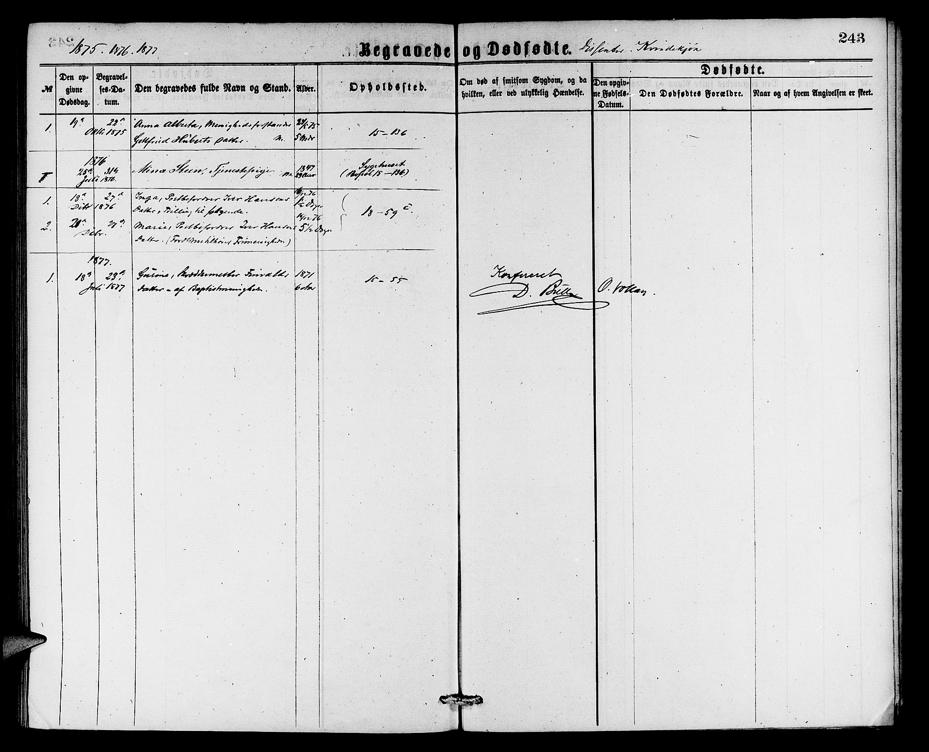 Domkirken sokneprestembete, SAB/A-74801/H/Hab/L0040: Parish register (copy) no. E 4, 1868-1877, p. 243