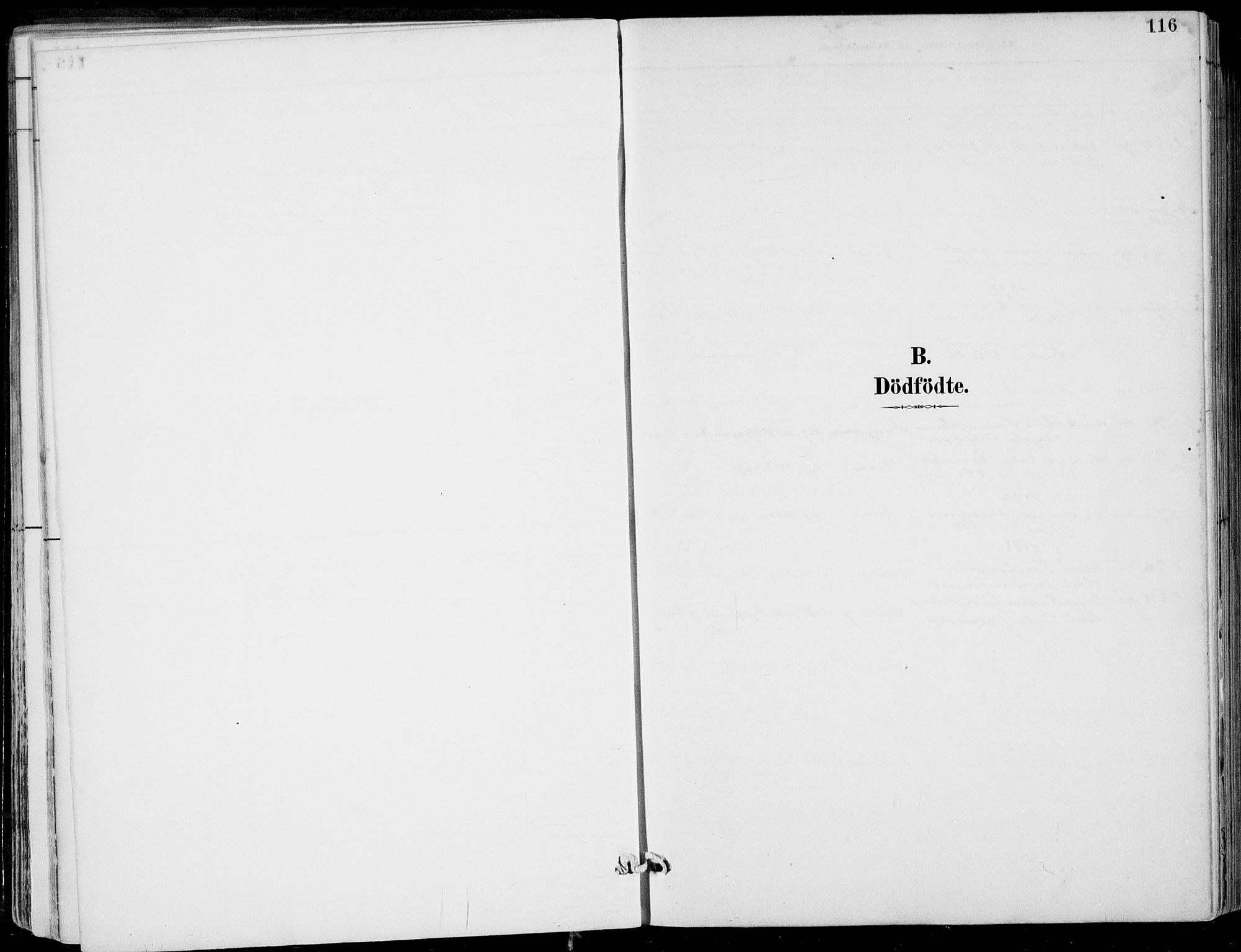 Strandebarm sokneprestembete, SAB/A-78401/H/Haa: Parish register (official) no. E  1, 1886-1908, p. 116