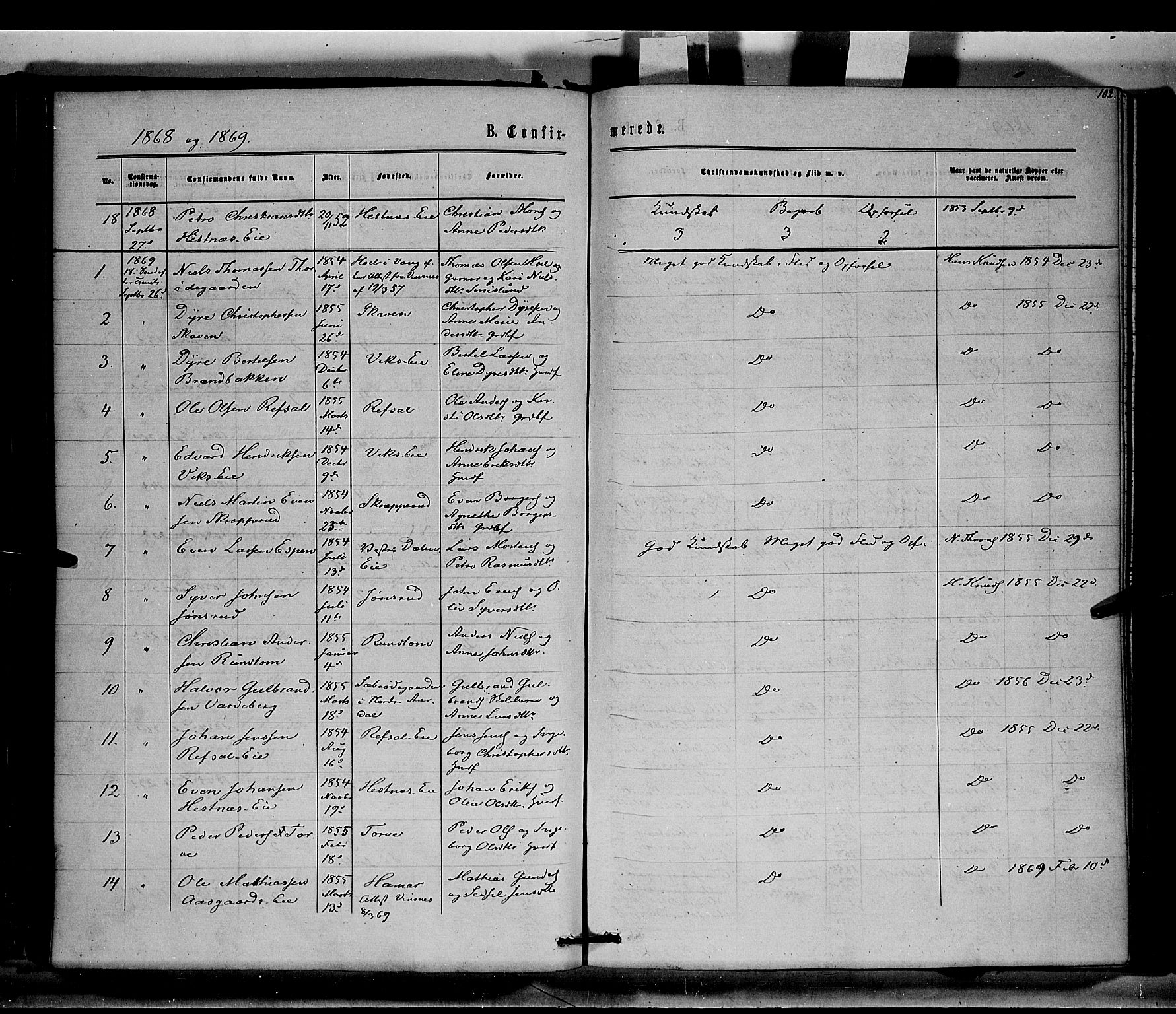 Stange prestekontor, SAH/PREST-002/K/L0014: Parish register (official) no. 14, 1862-1879, p. 102