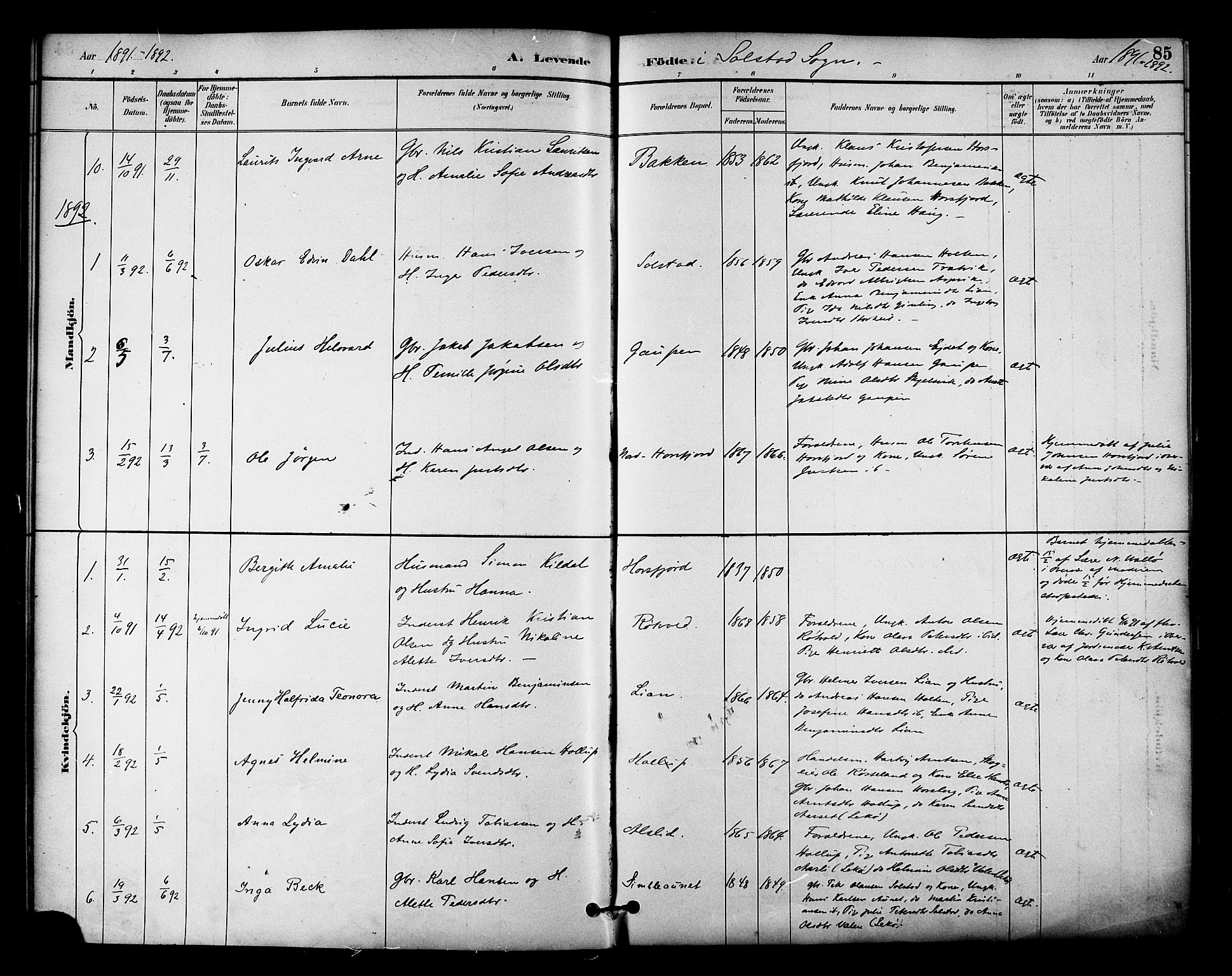 Ministerialprotokoller, klokkerbøker og fødselsregistre - Nordland, AV/SAT-A-1459/810/L0151: Parish register (official) no. 810A10 /2, 1885-1895, p. 85