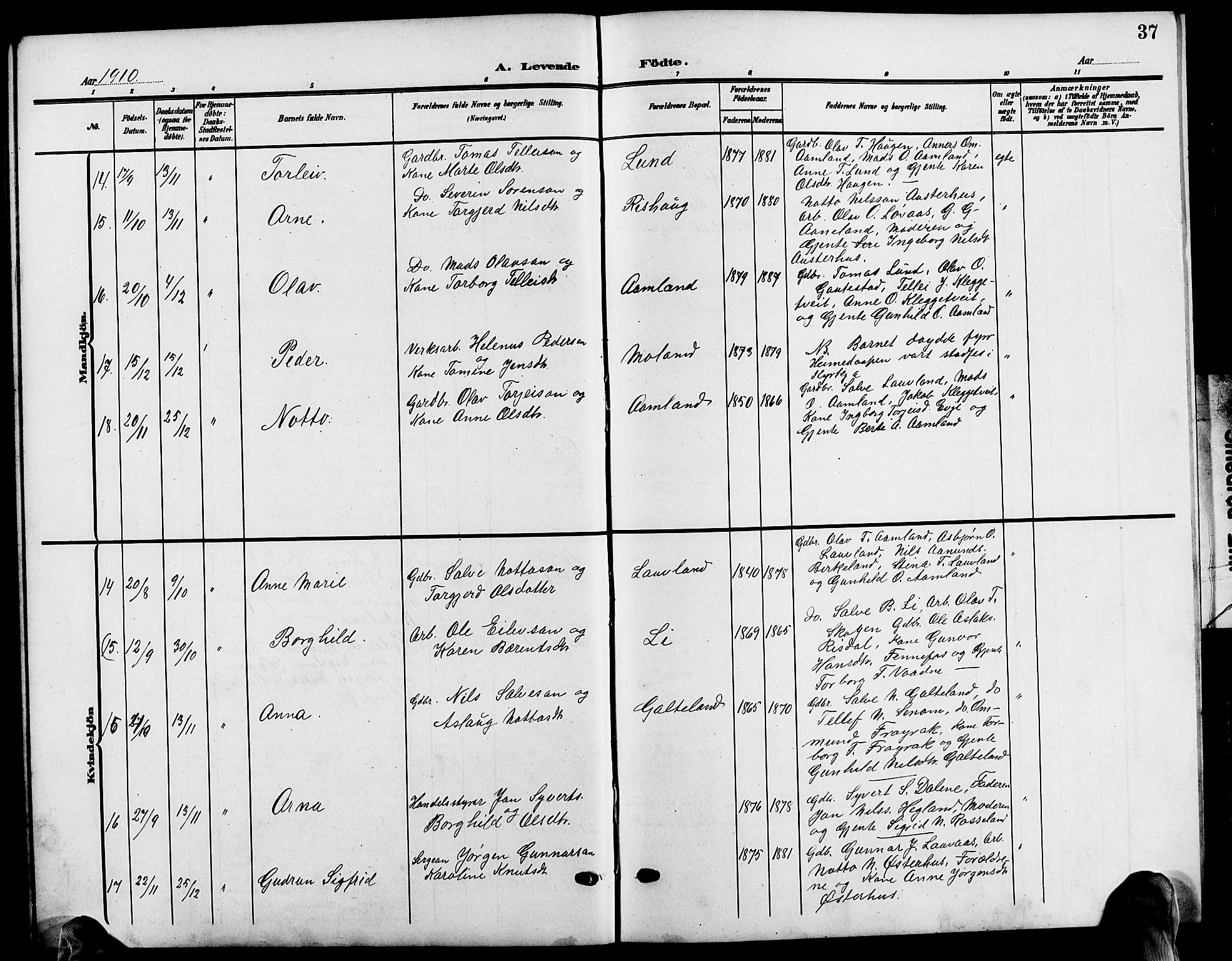 Evje sokneprestkontor, SAK/1111-0008/F/Fb/Fba/L0004: Parish register (copy) no. B 4, 1899-1914, p. 37