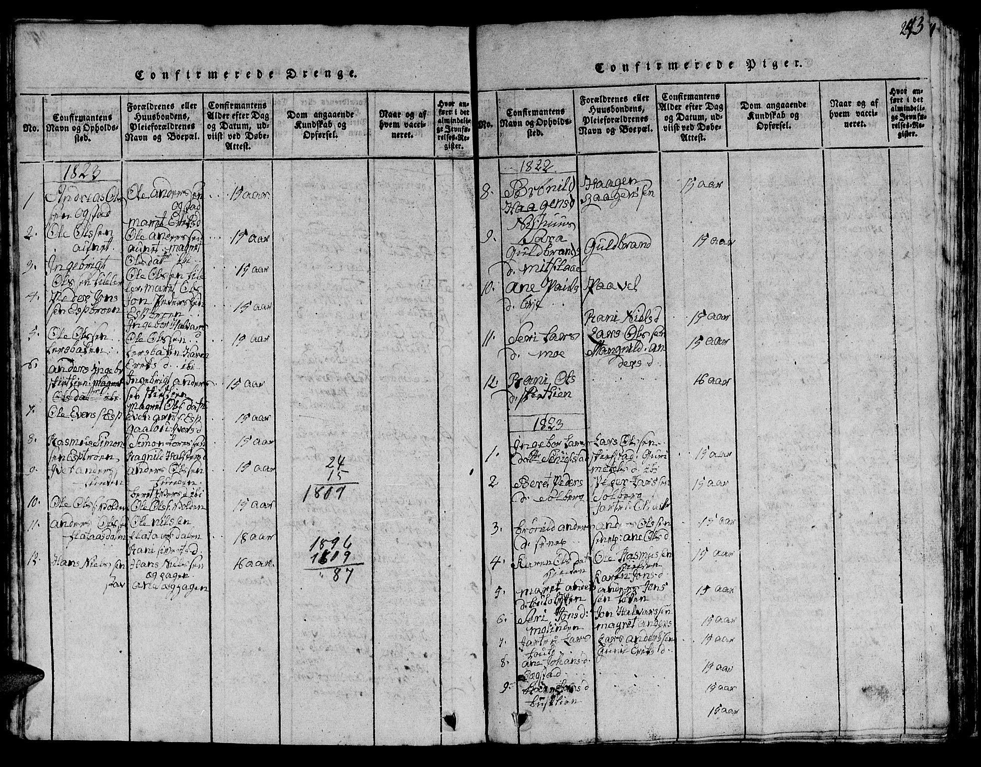Ministerialprotokoller, klokkerbøker og fødselsregistre - Sør-Trøndelag, SAT/A-1456/613/L0393: Parish register (copy) no. 613C01, 1816-1886, p. 243