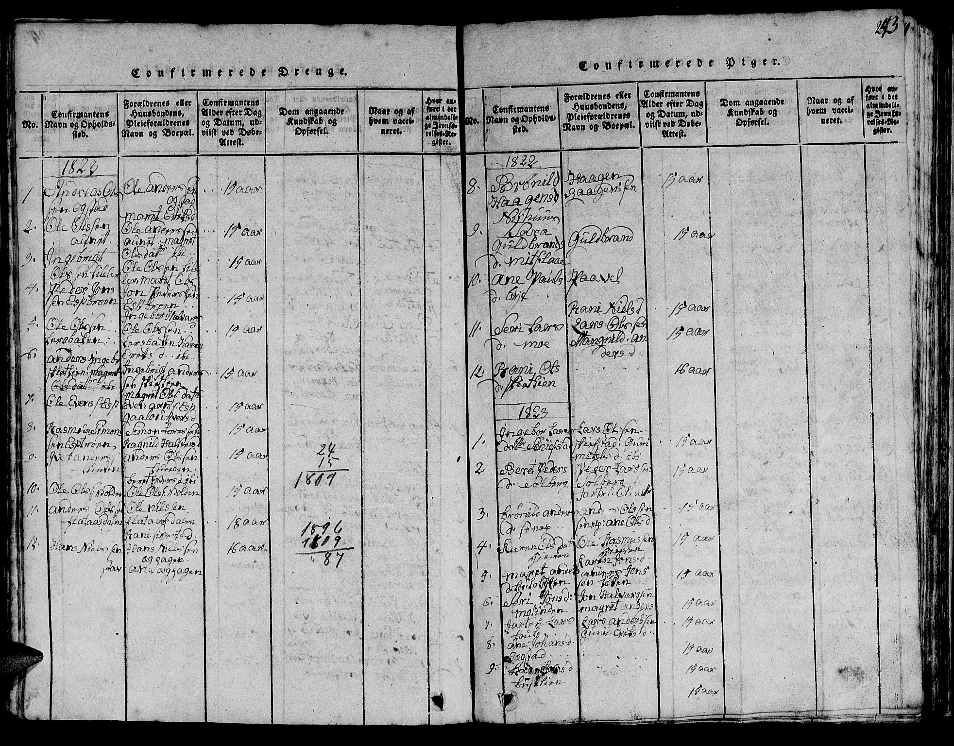 Ministerialprotokoller, klokkerbøker og fødselsregistre - Sør-Trøndelag, AV/SAT-A-1456/613/L0393: Parish register (copy) no. 613C01, 1816-1886, p. 243