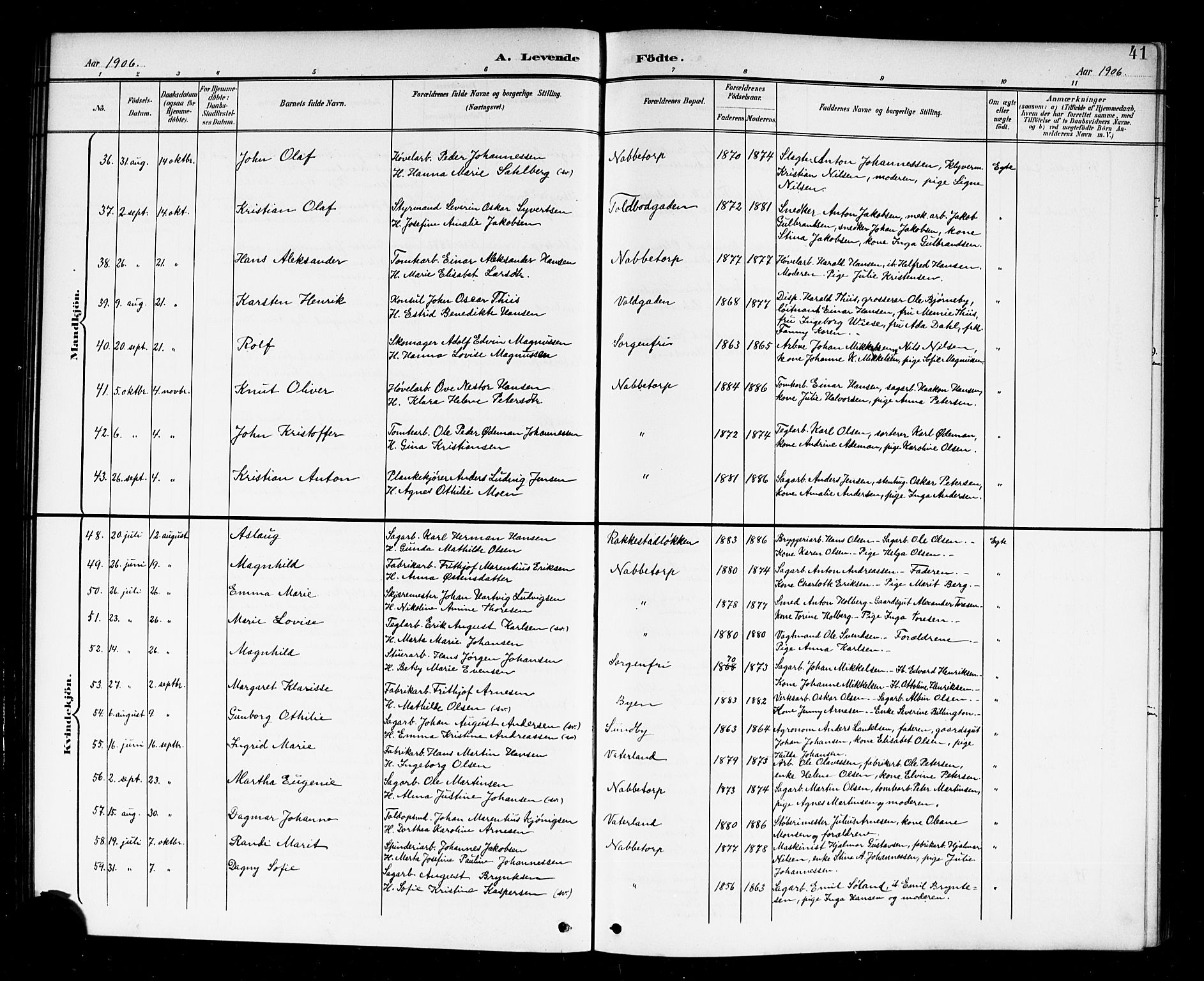 Østre Fredrikstad prestekontor Kirkebøker, AV/SAO-A-10907/G/Ga/L0002: Parish register (copy) no. 2, 1900-1919, p. 41