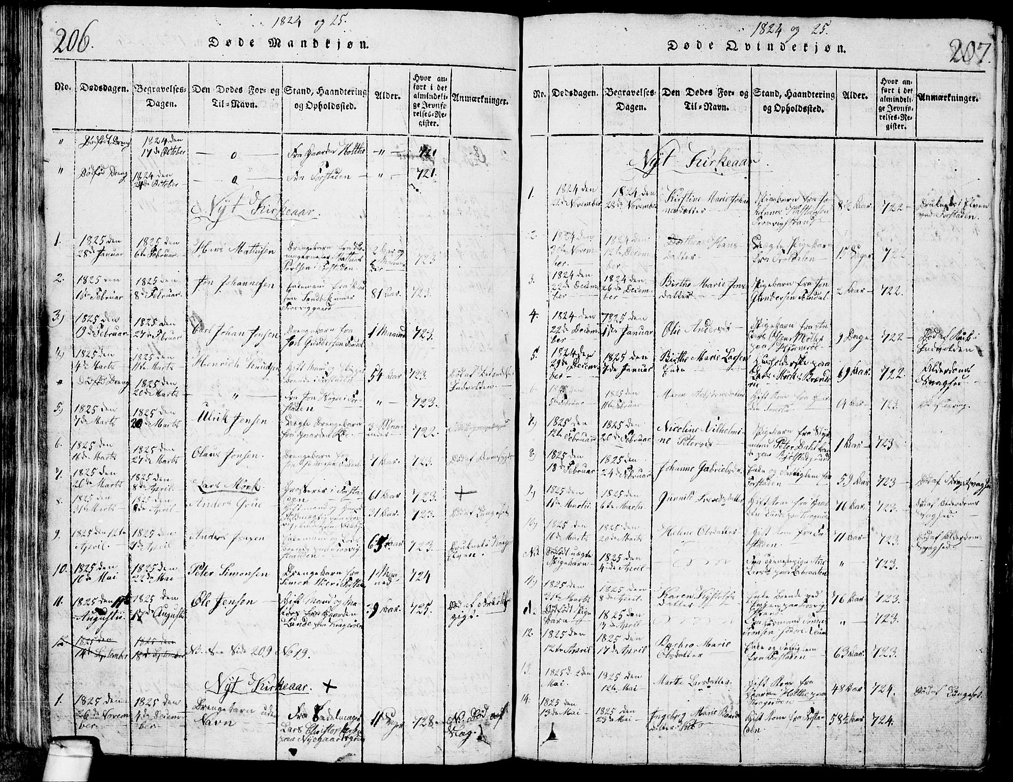 Glemmen prestekontor Kirkebøker, AV/SAO-A-10908/G/Ga/L0001: Parish register (copy) no. 1, 1816-1838, p. 206-207