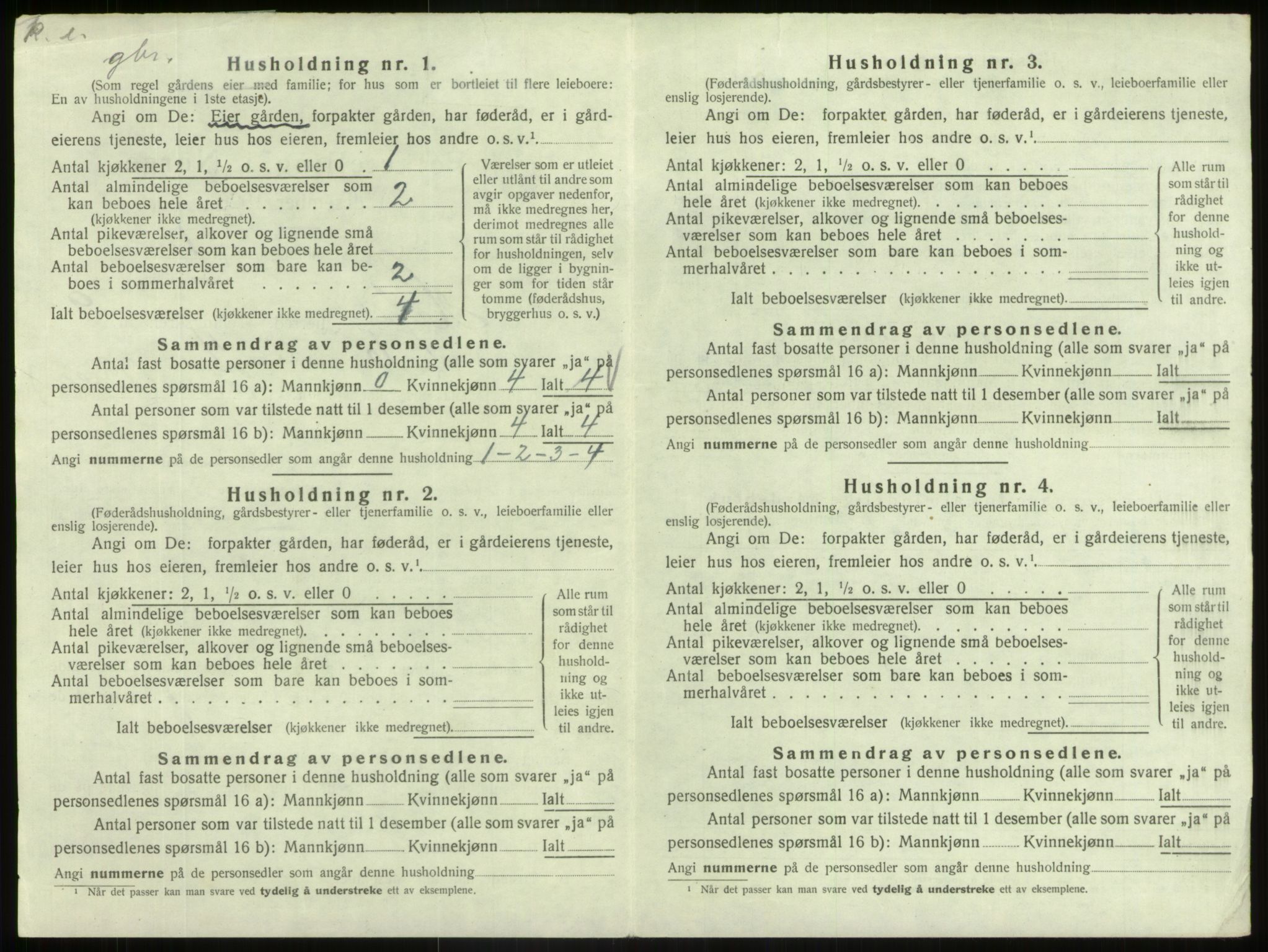 SAB, 1920 census for Hafslo, 1920, p. 1001