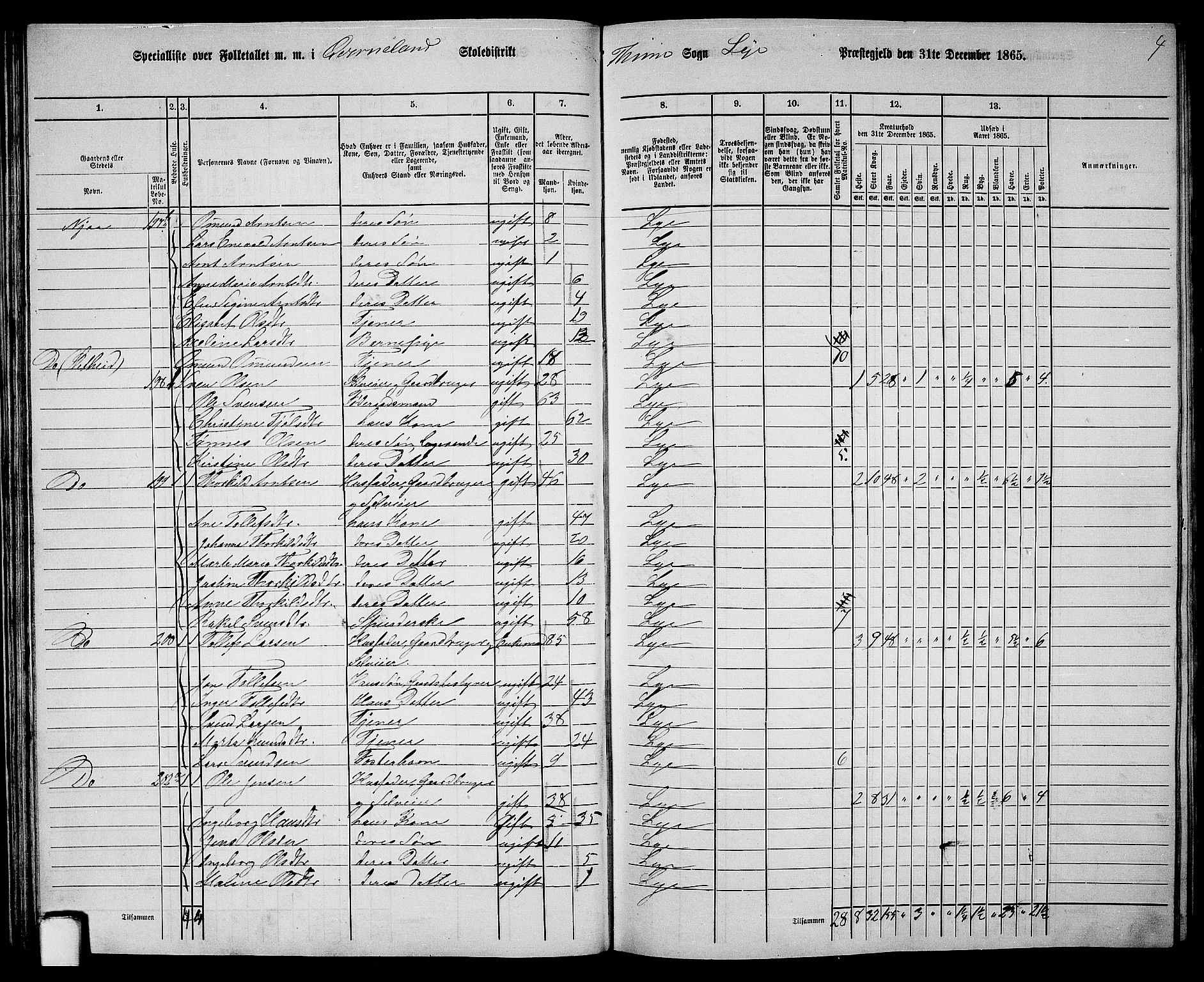 RA, 1865 census for Lye, 1865, p. 36